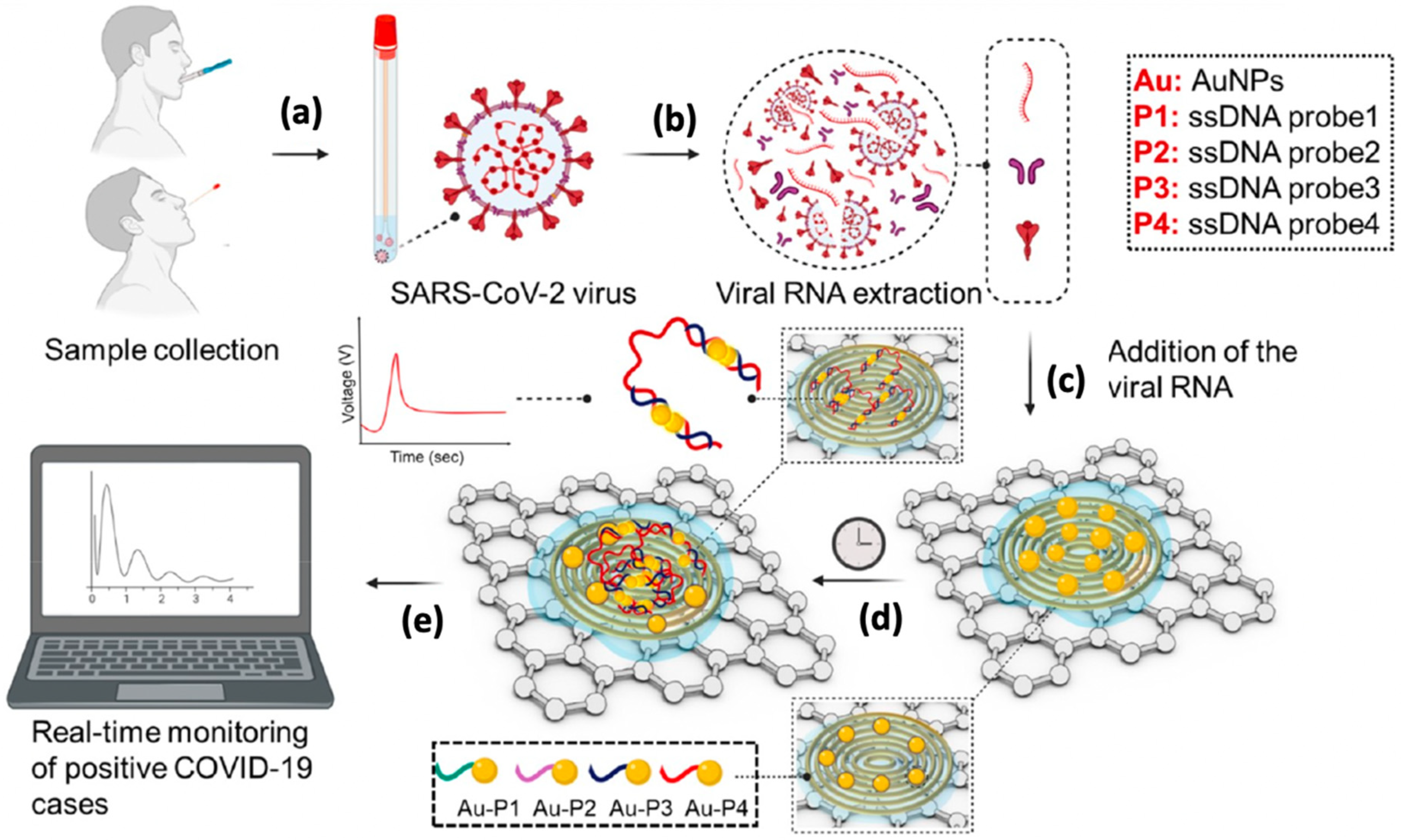 Biosensors 12 00473 g008