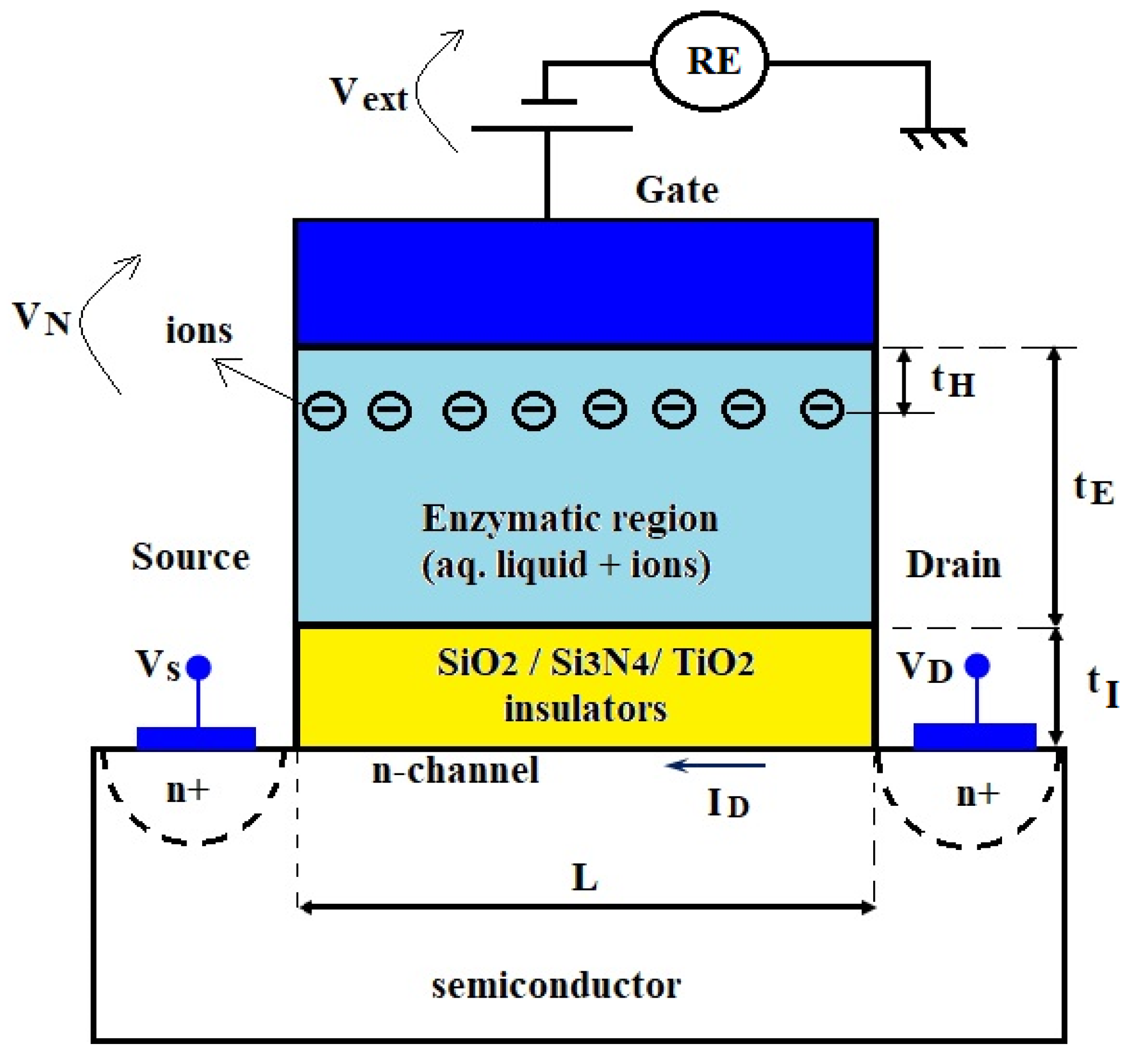Biosensors 12 00474 g002