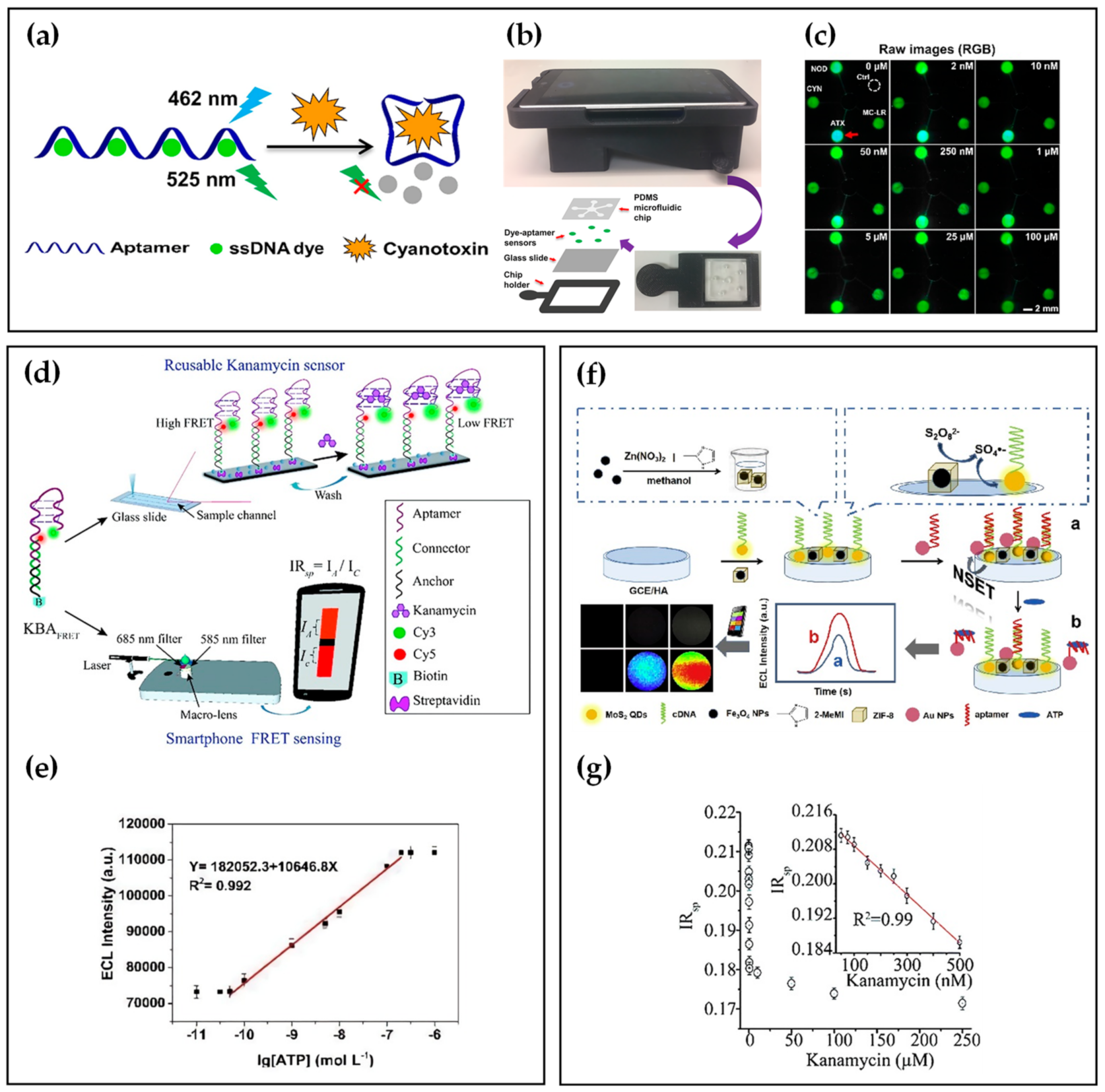 Biosensors 12 00477 g002 550