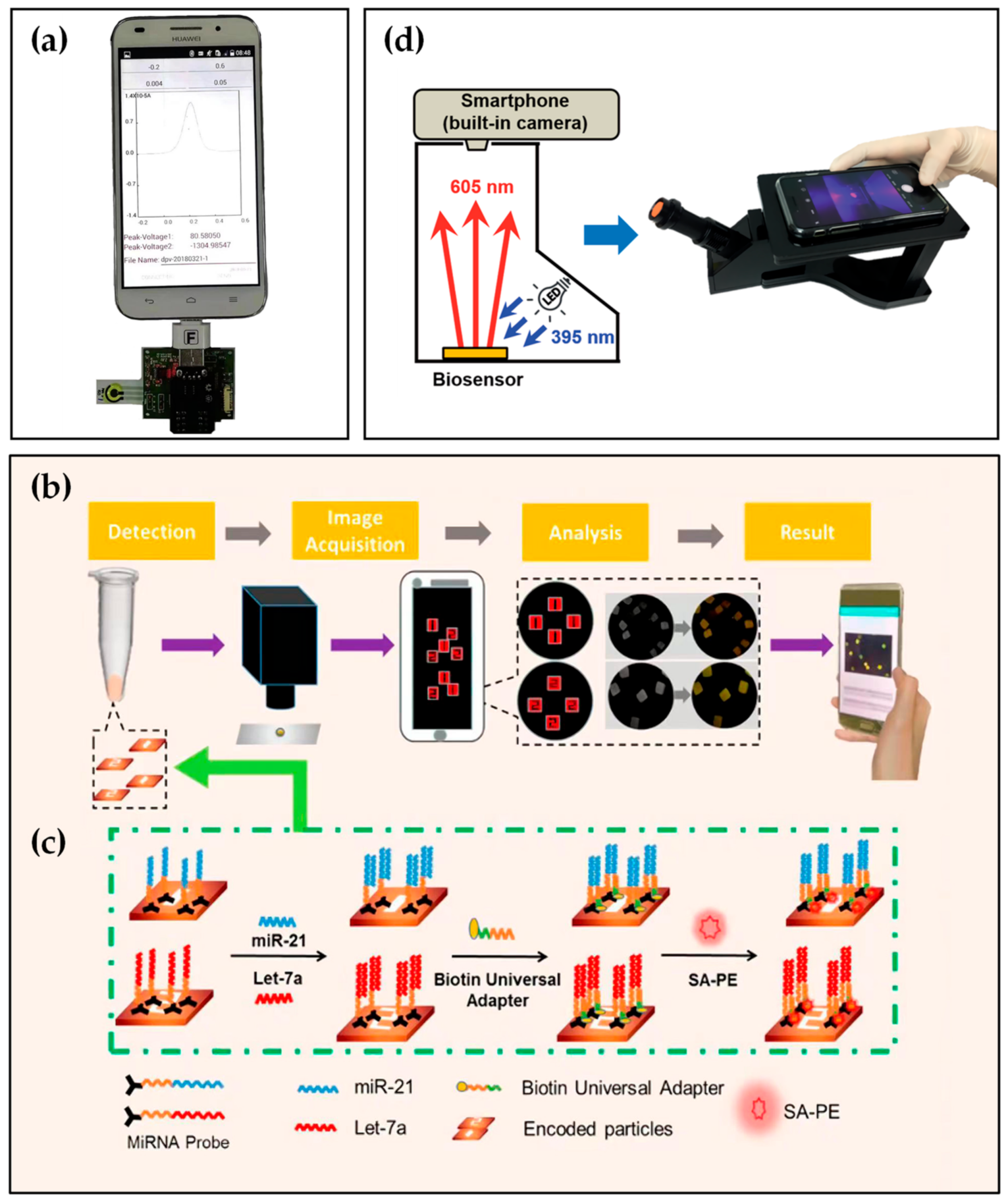 Biosensors 12 00477 g003 550