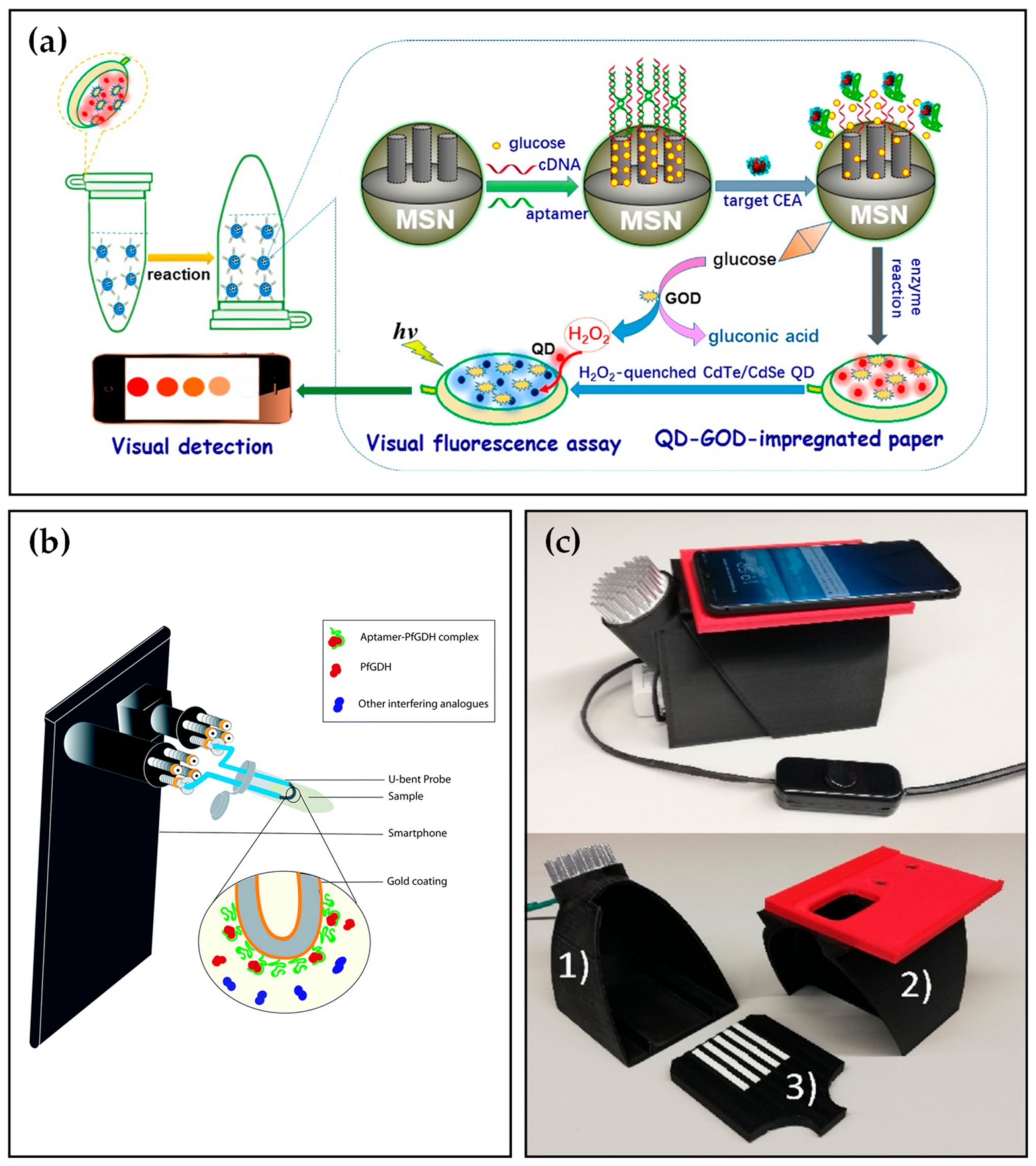 Biosensors 12 00477 g004 550
