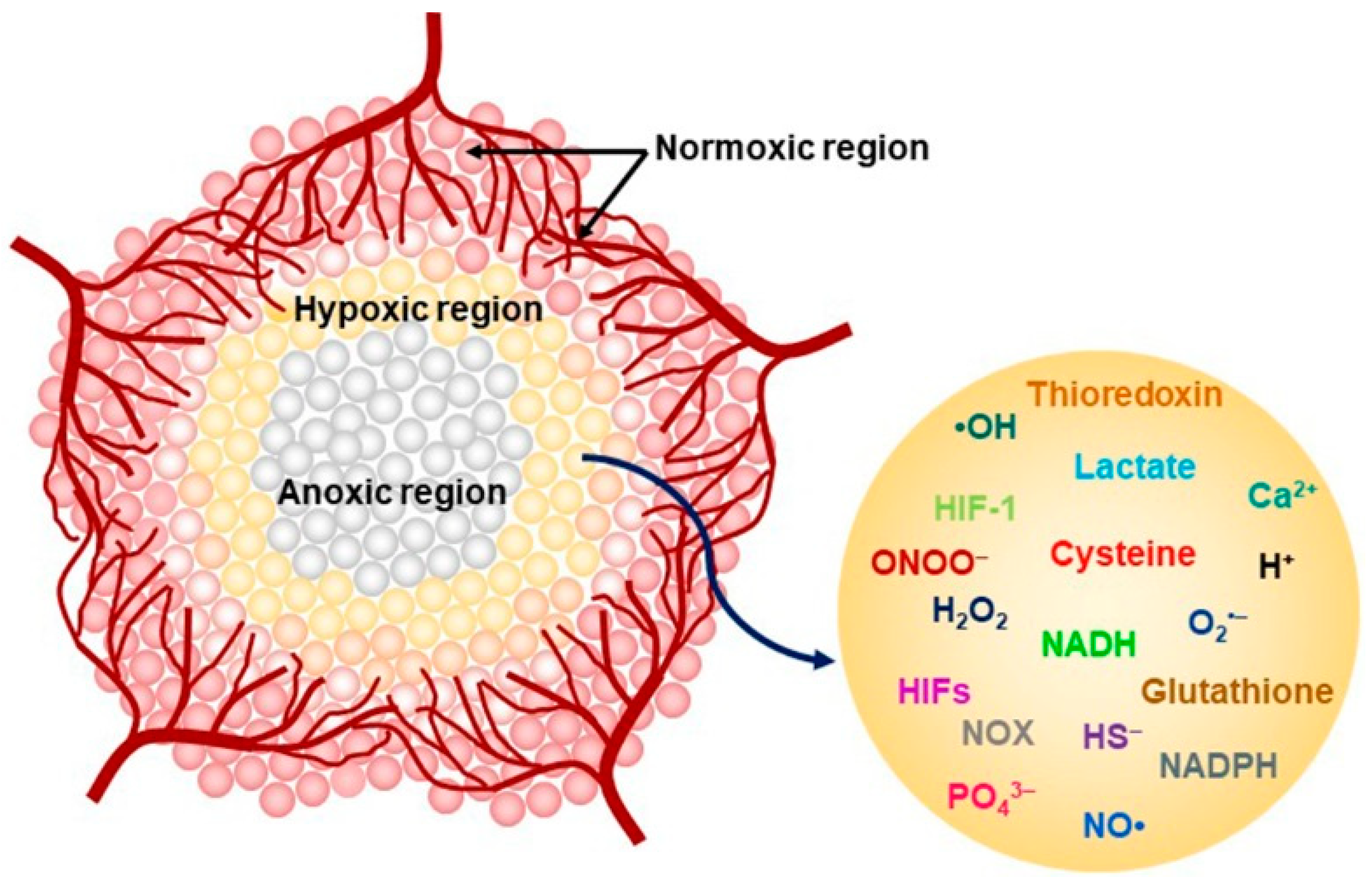 Biosensors 12 00478 g001