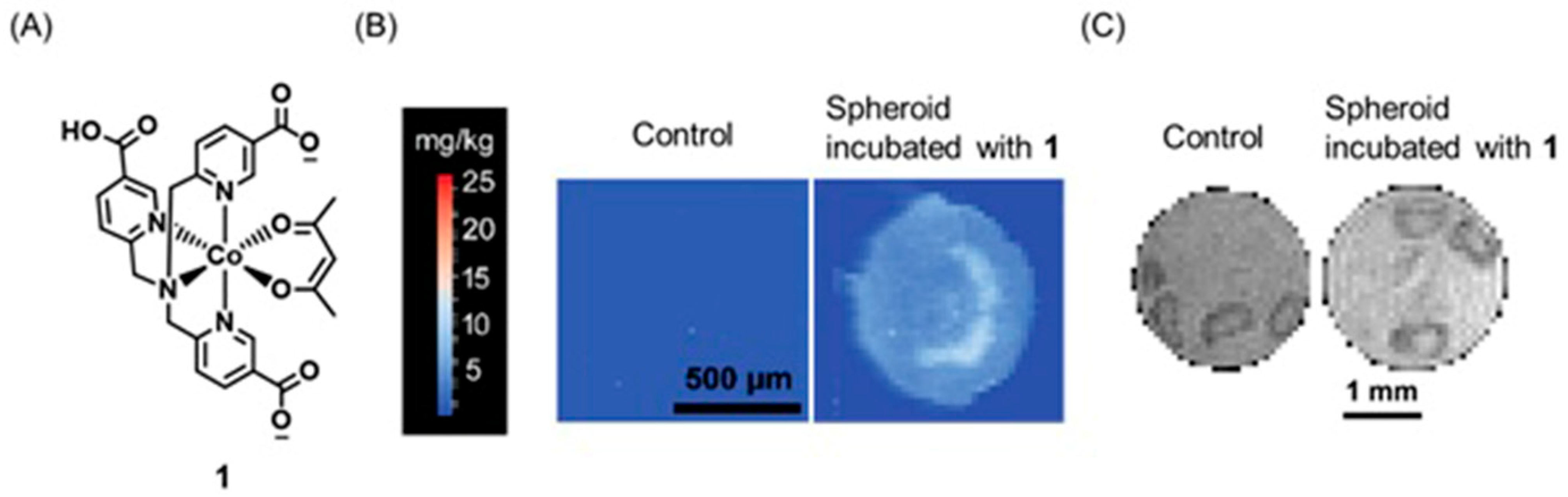 Biosensors 12 00478 g002