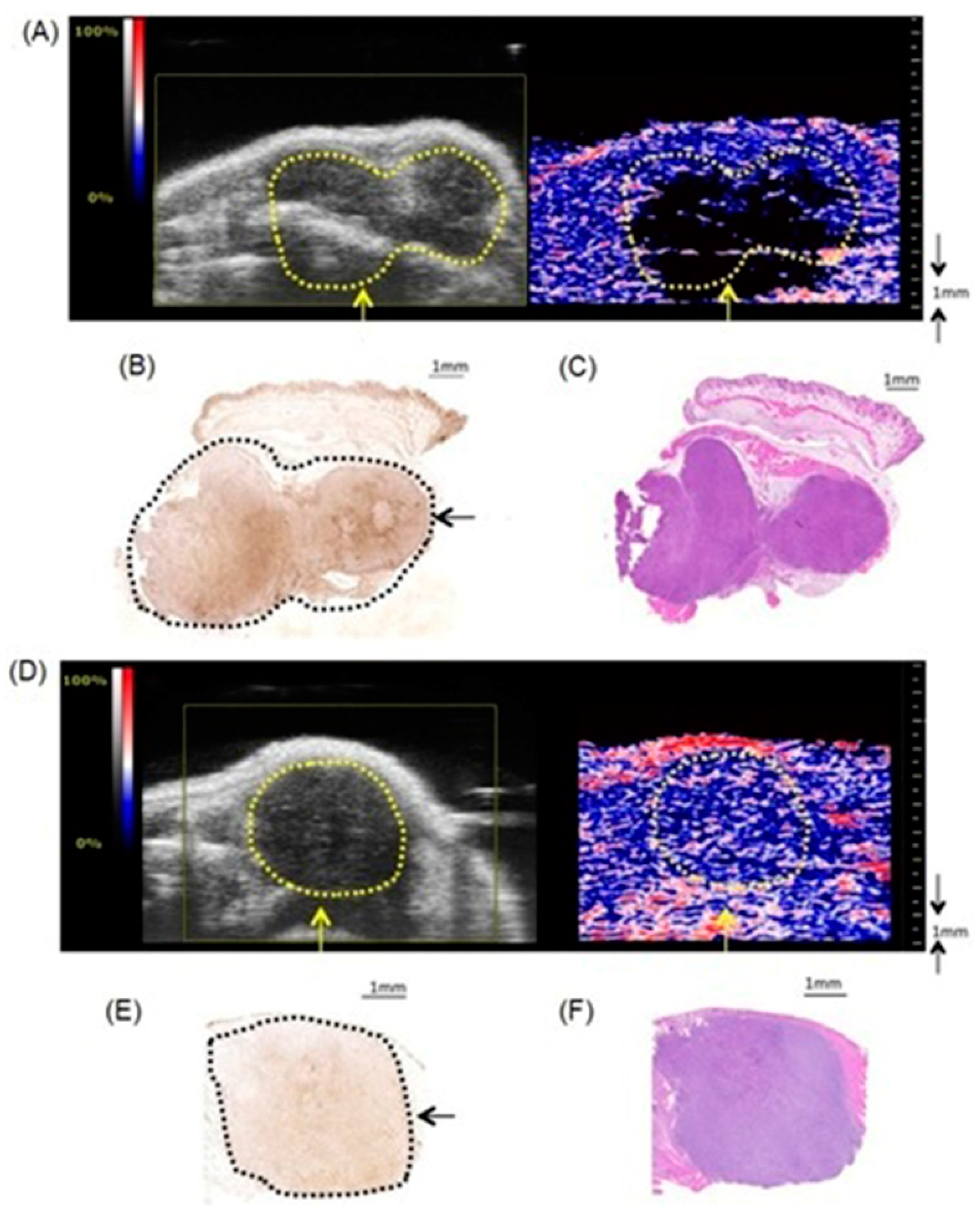 Biosensors 12 00478 g003