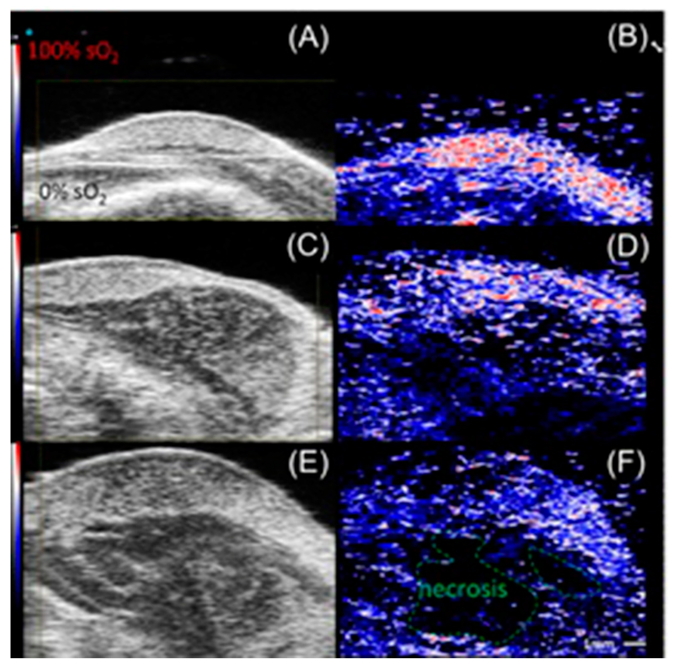 Biosensors 12 00478 g004