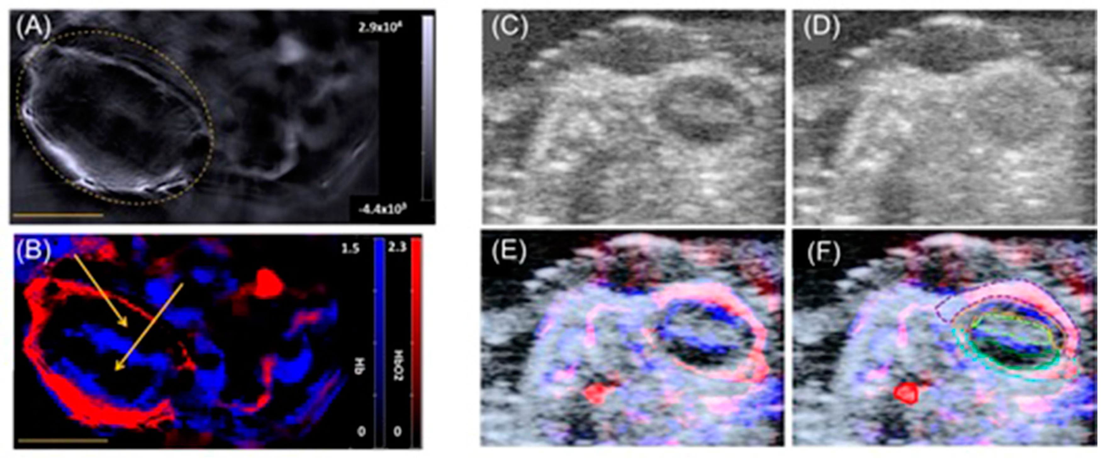 Biosensors 12 00478 g005