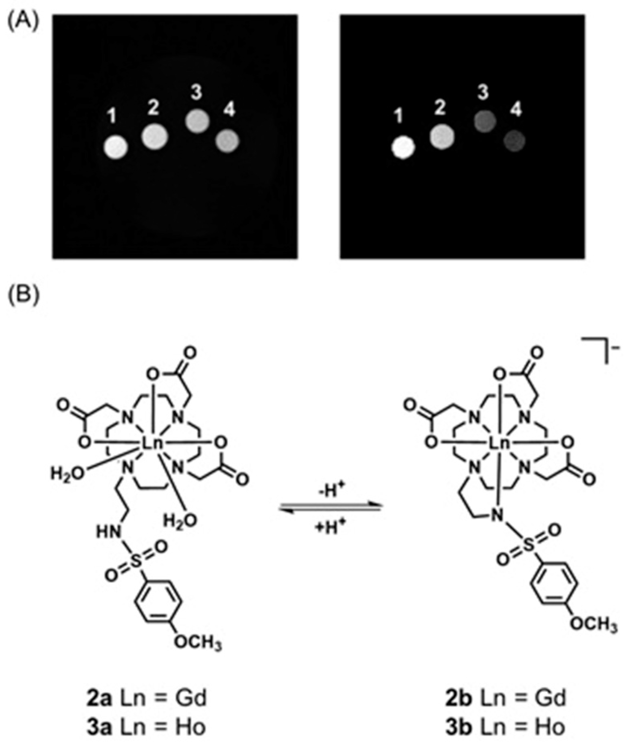 Biosensors 12 00478 g008
