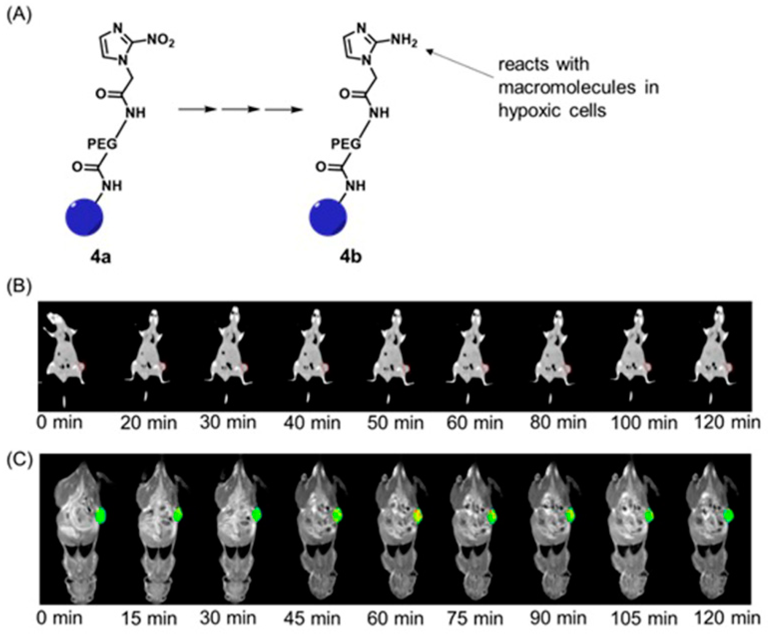 Biosensors 12 00478 g009