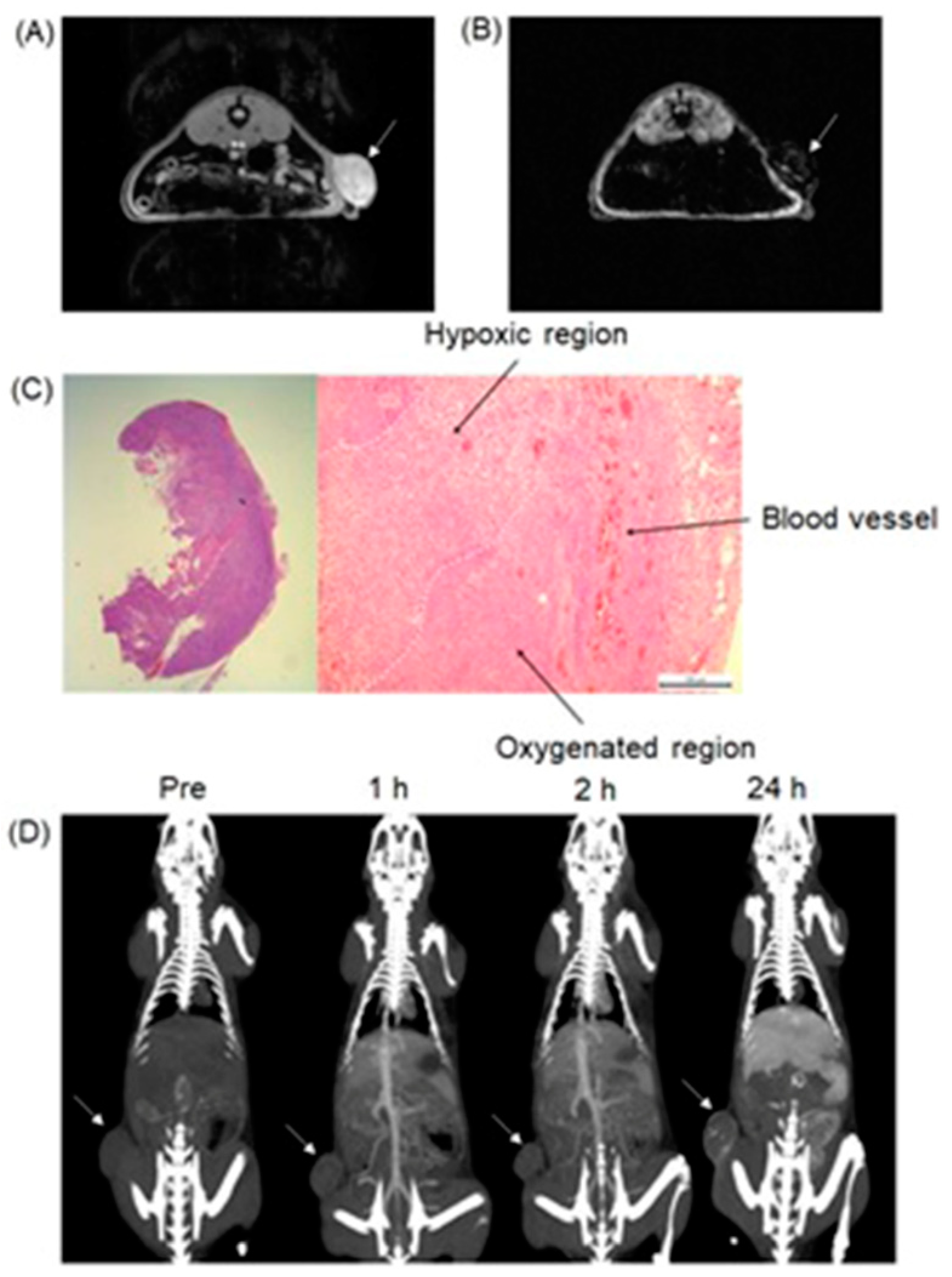 Biosensors 12 00478 g010