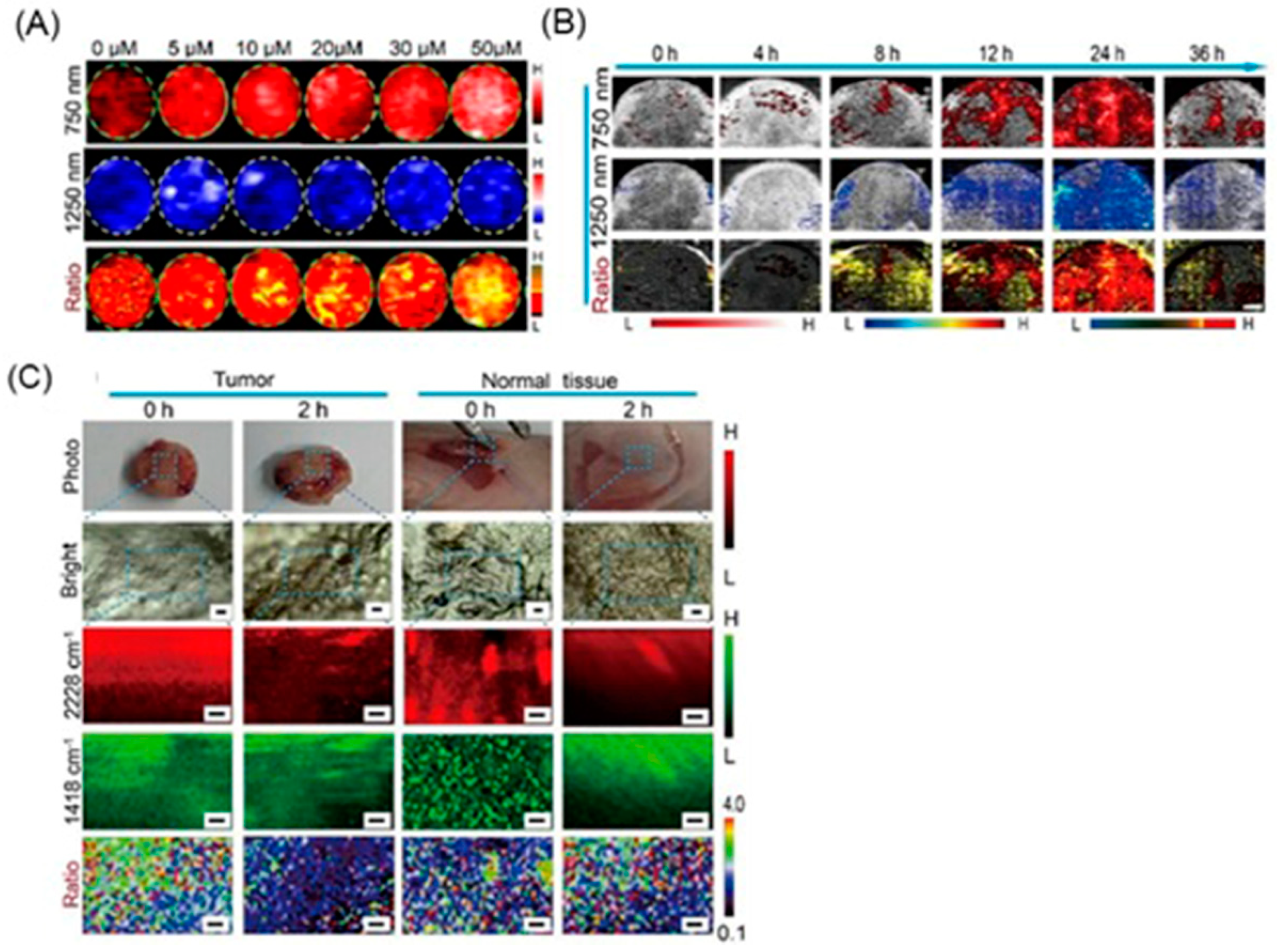 Biosensors 12 00478 g016