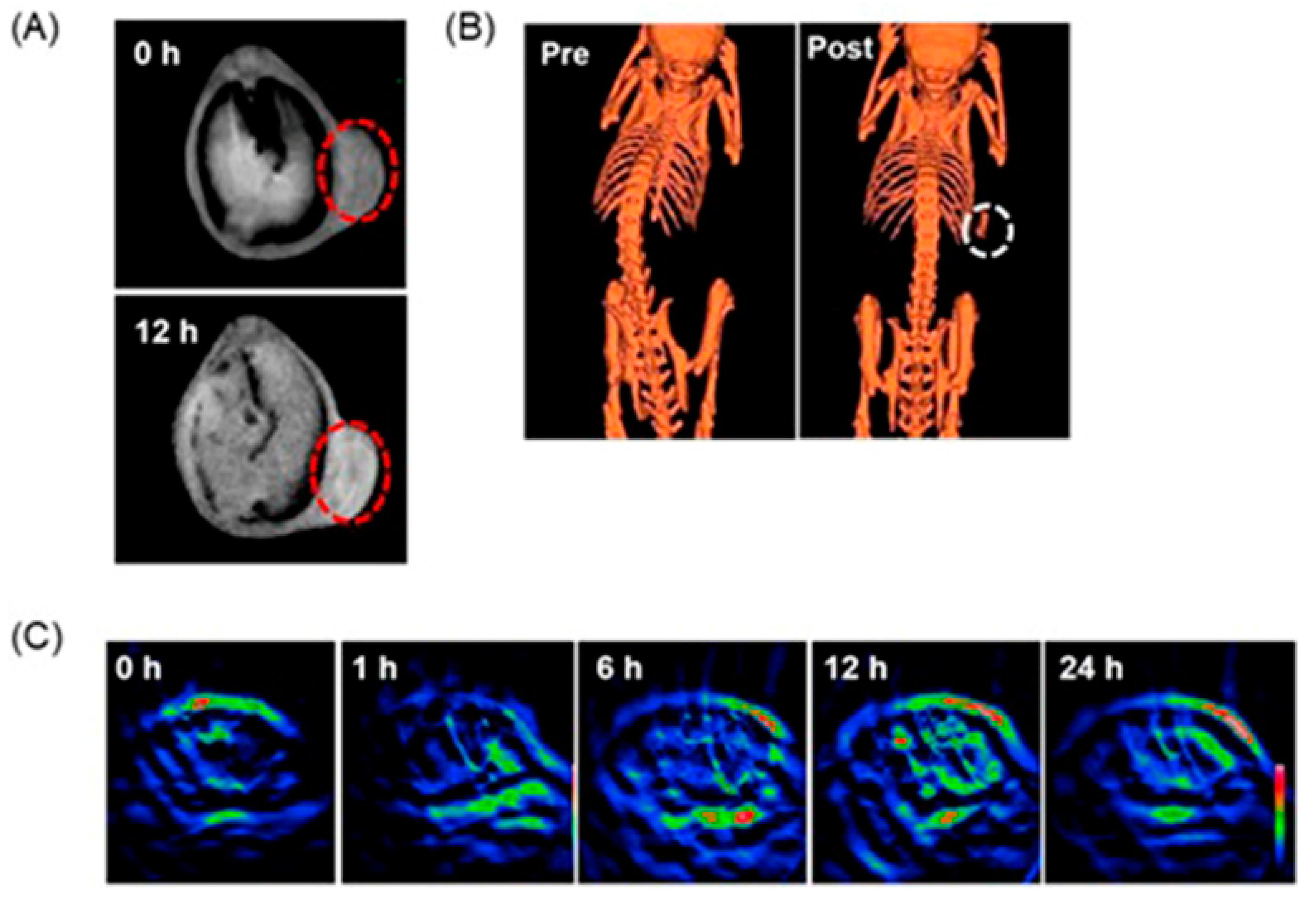 Biosensors 12 00478 g019