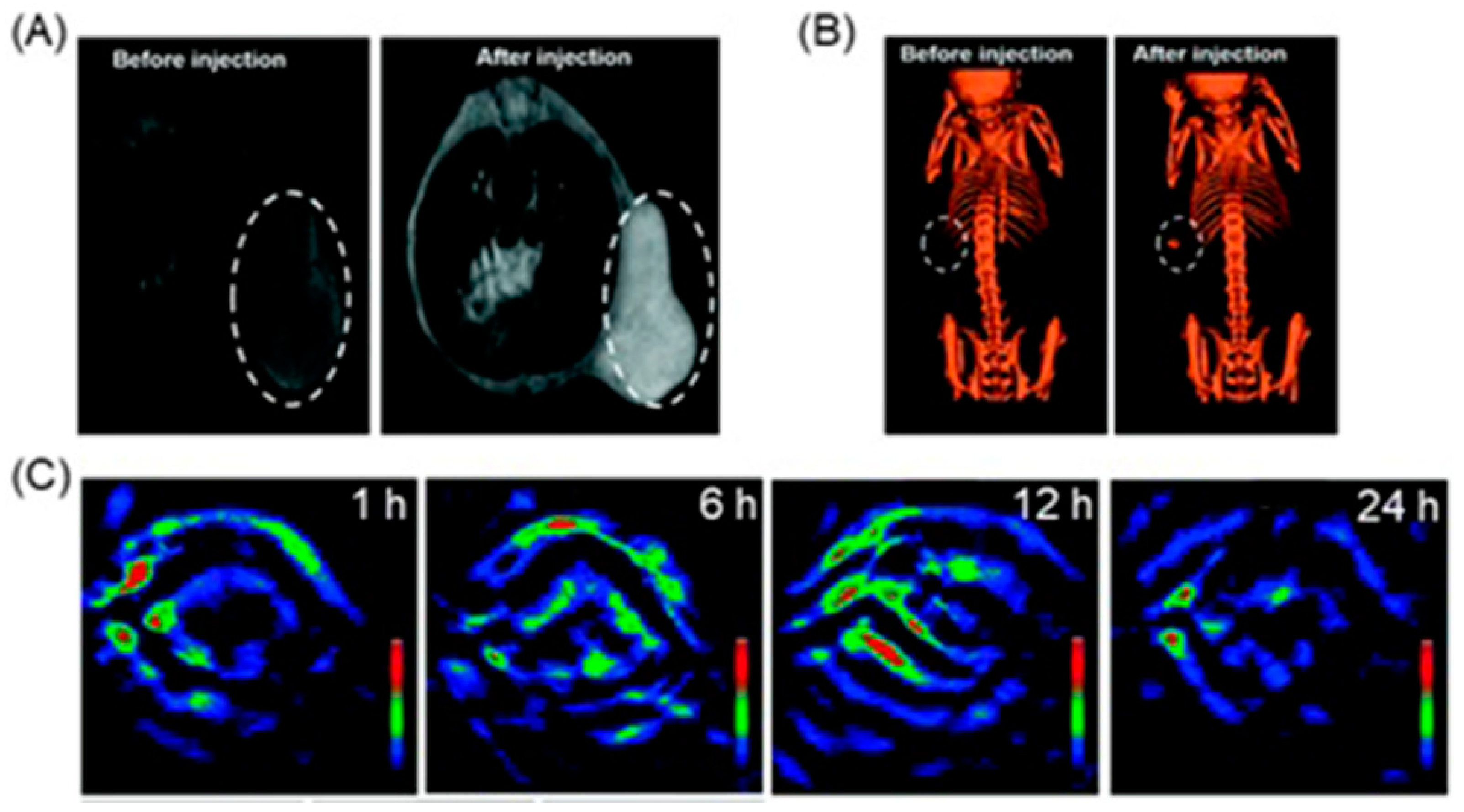 Biosensors 12 00478 g020