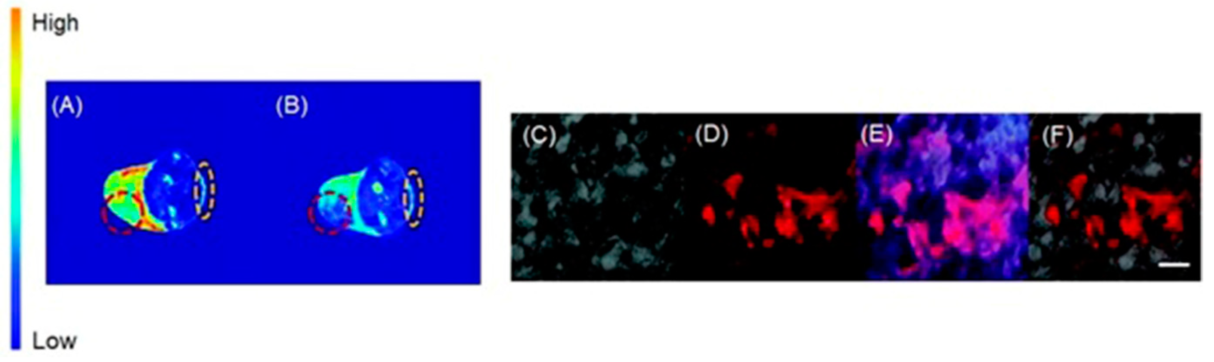 Biosensors 12 00478 g022