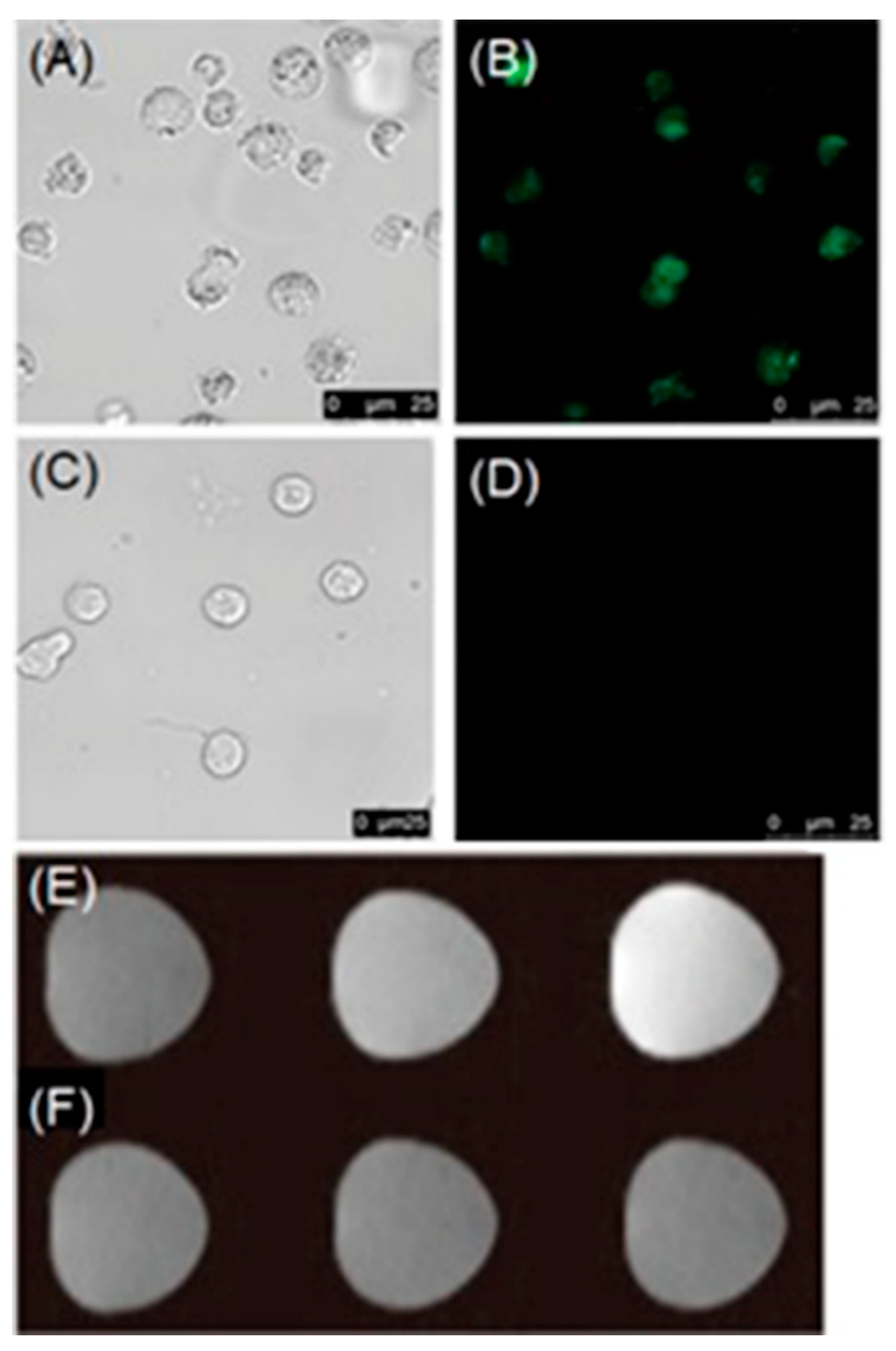 Biosensors 12 00478 g026