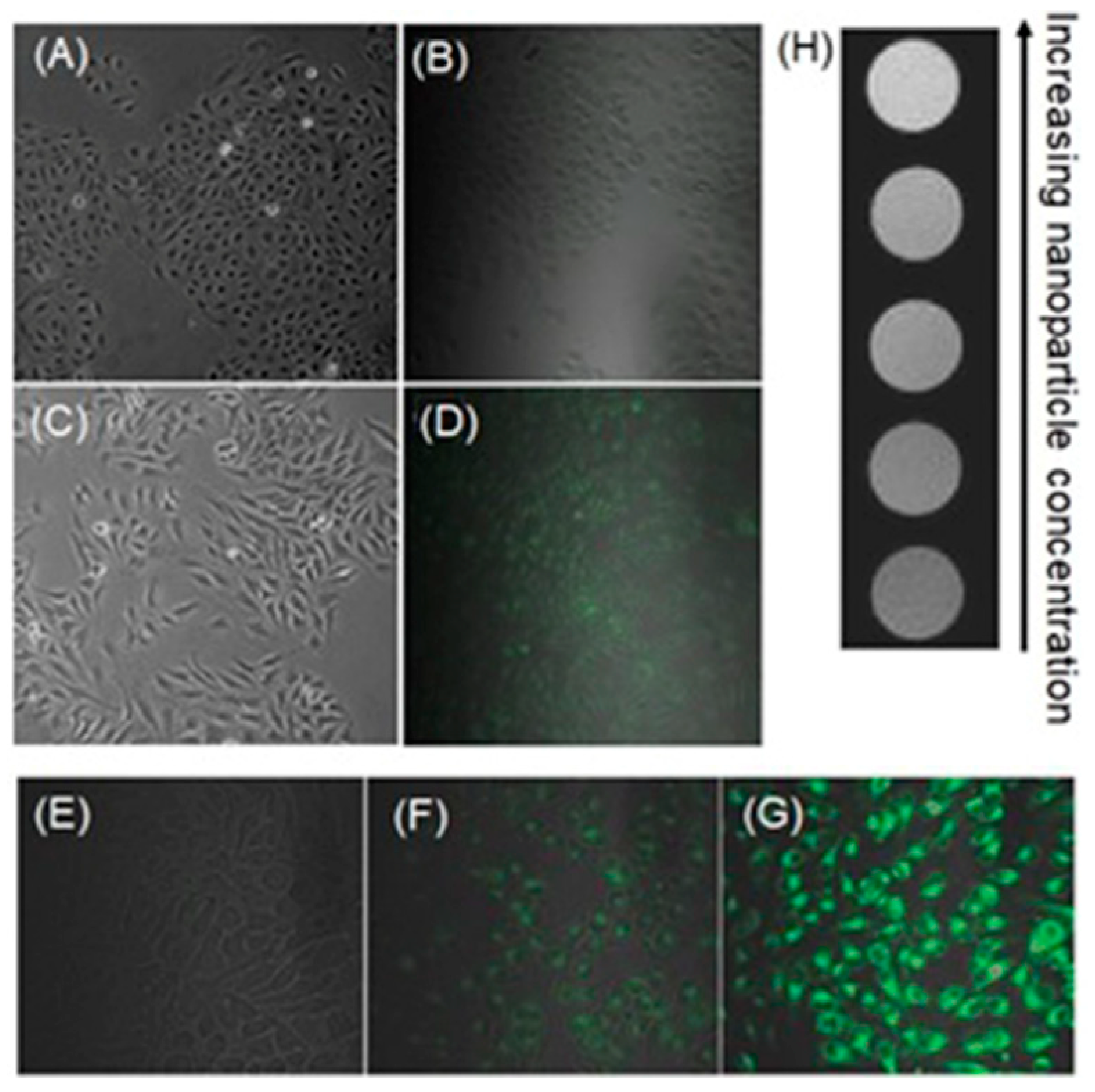Biosensors 12 00478 g028