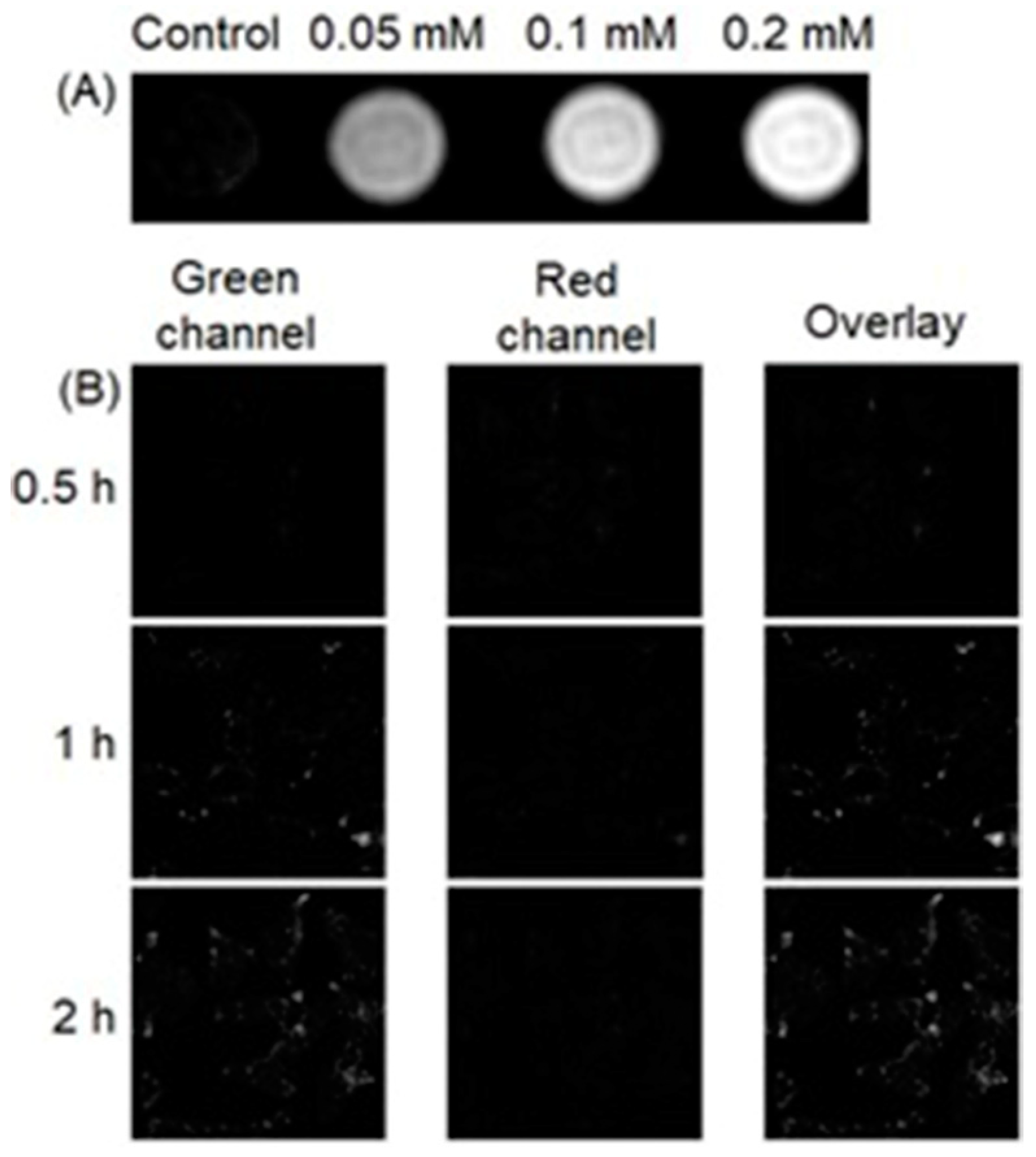 Biosensors 12 00478 g029