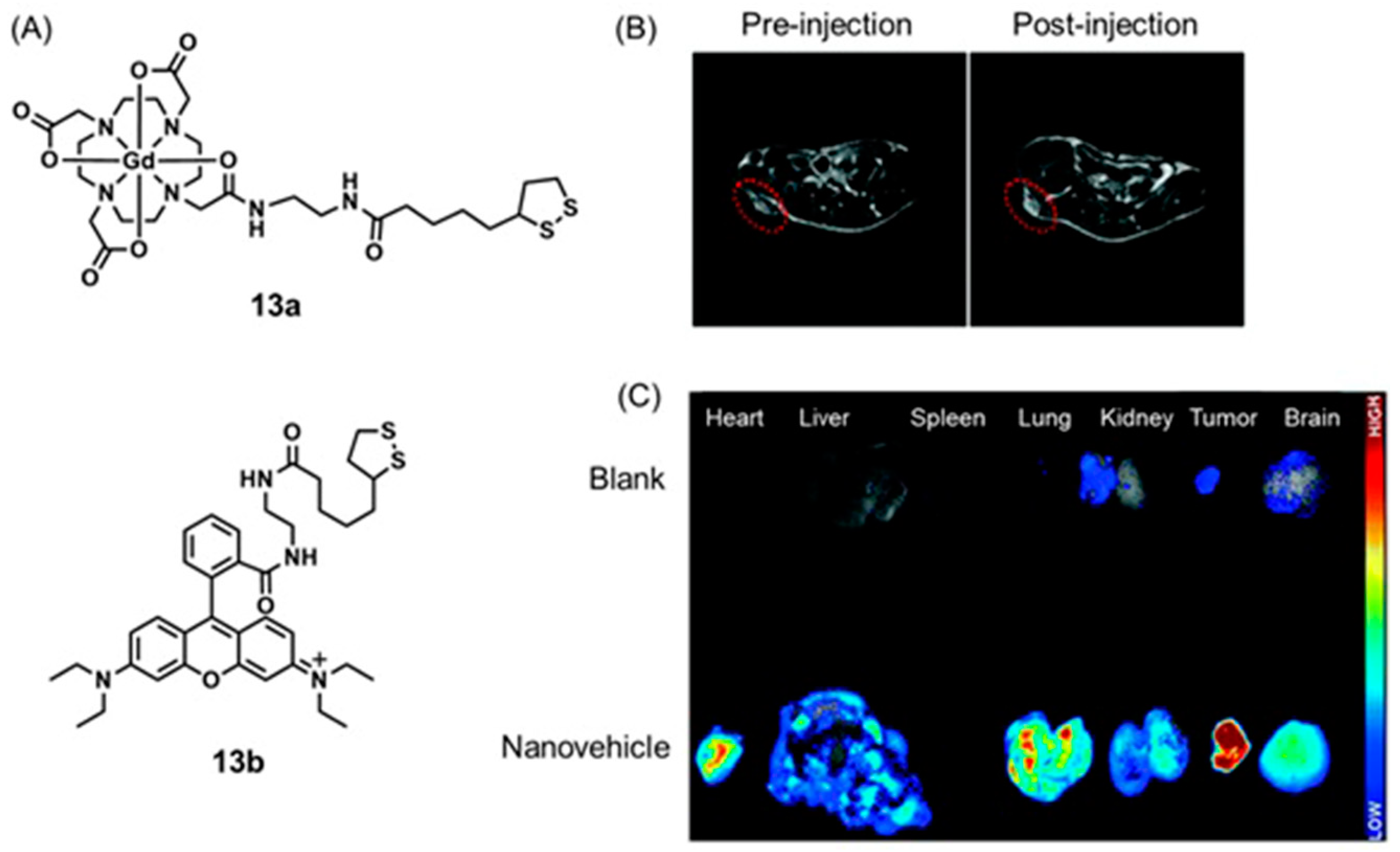 Biosensors 12 00478 g030