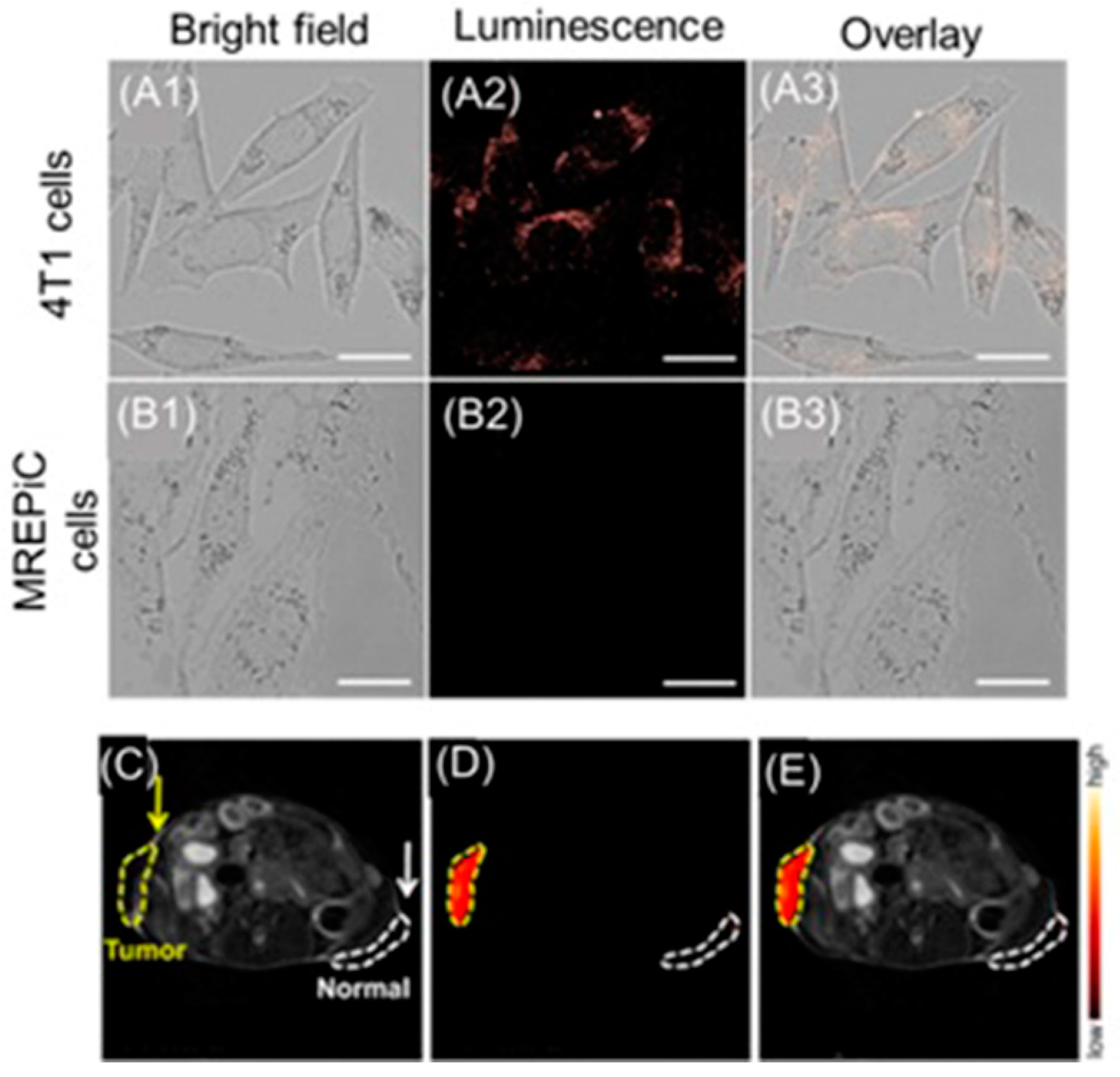 Biosensors 12 00478 g032