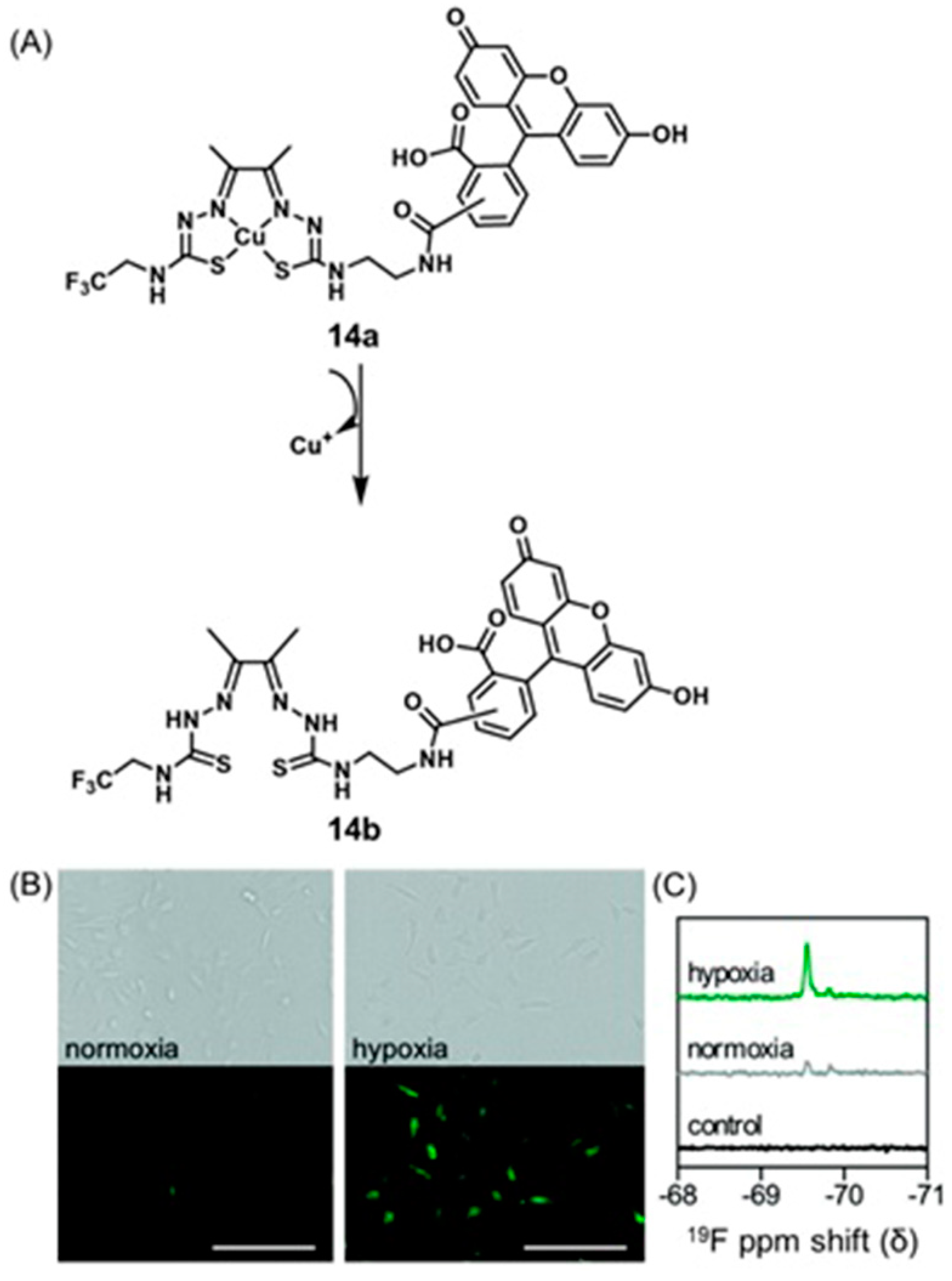 Biosensors 12 00478 g034