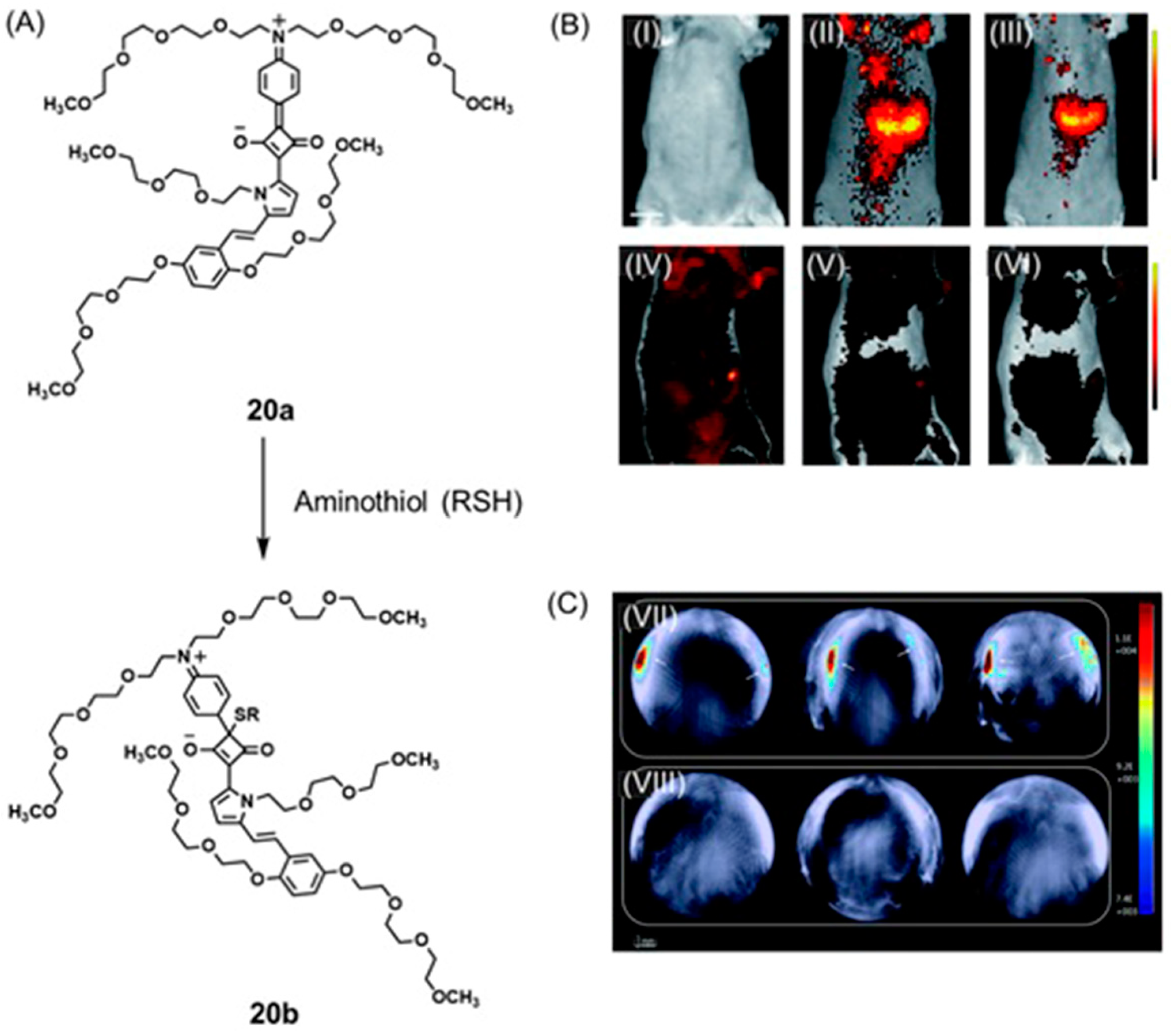 Biosensors 12 00478 g043