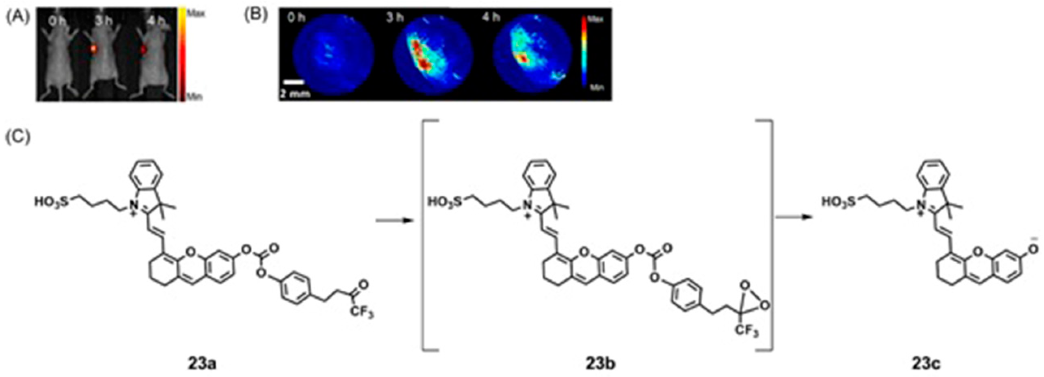 Biosensors 12 00478 g046