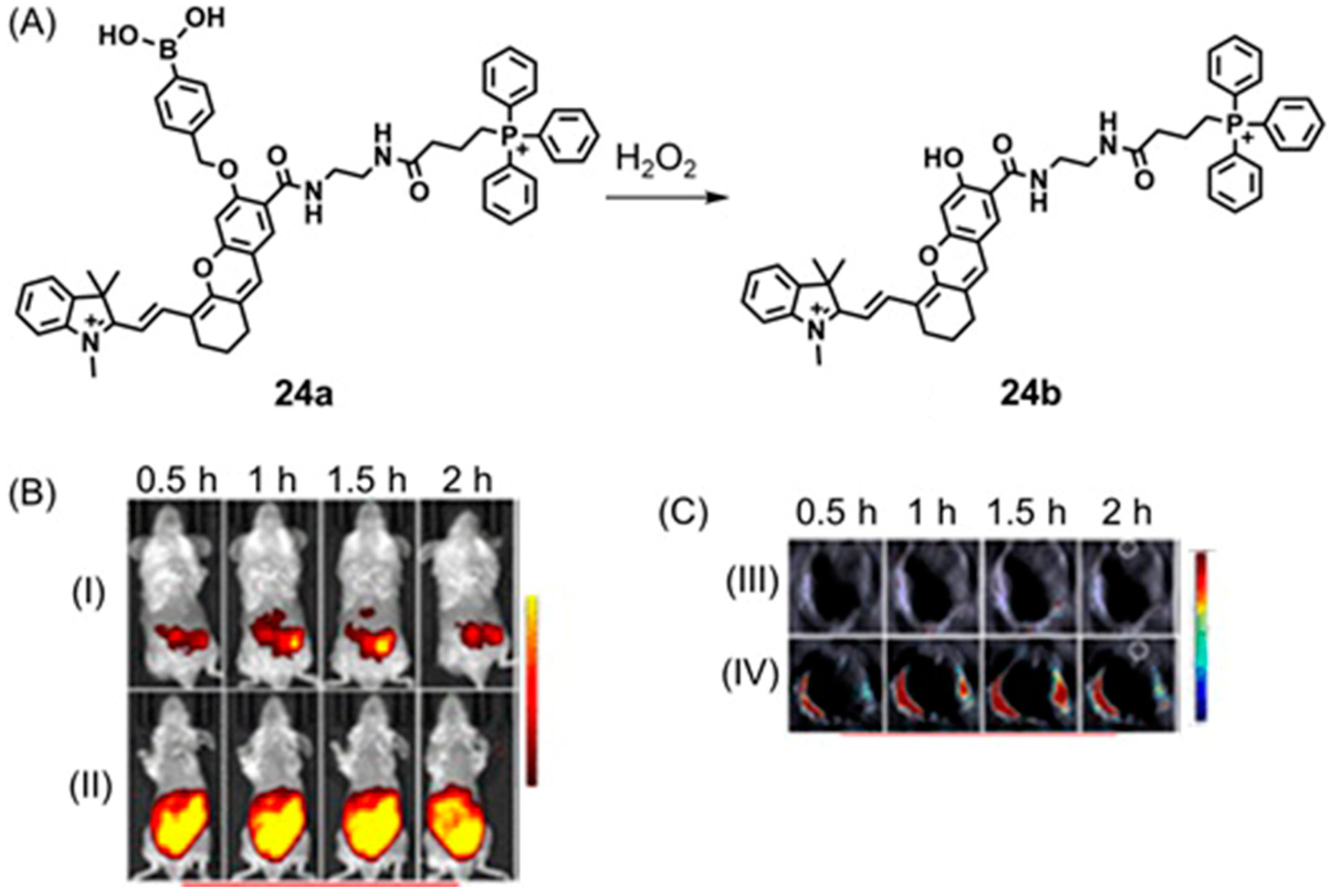 Biosensors 12 00478 g047