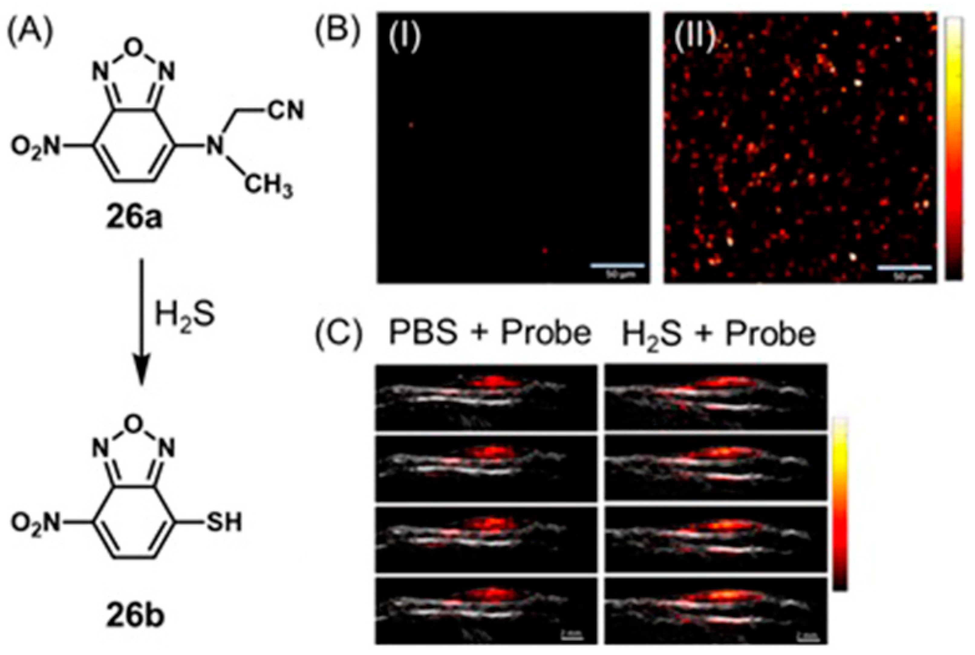 Biosensors 12 00478 g049