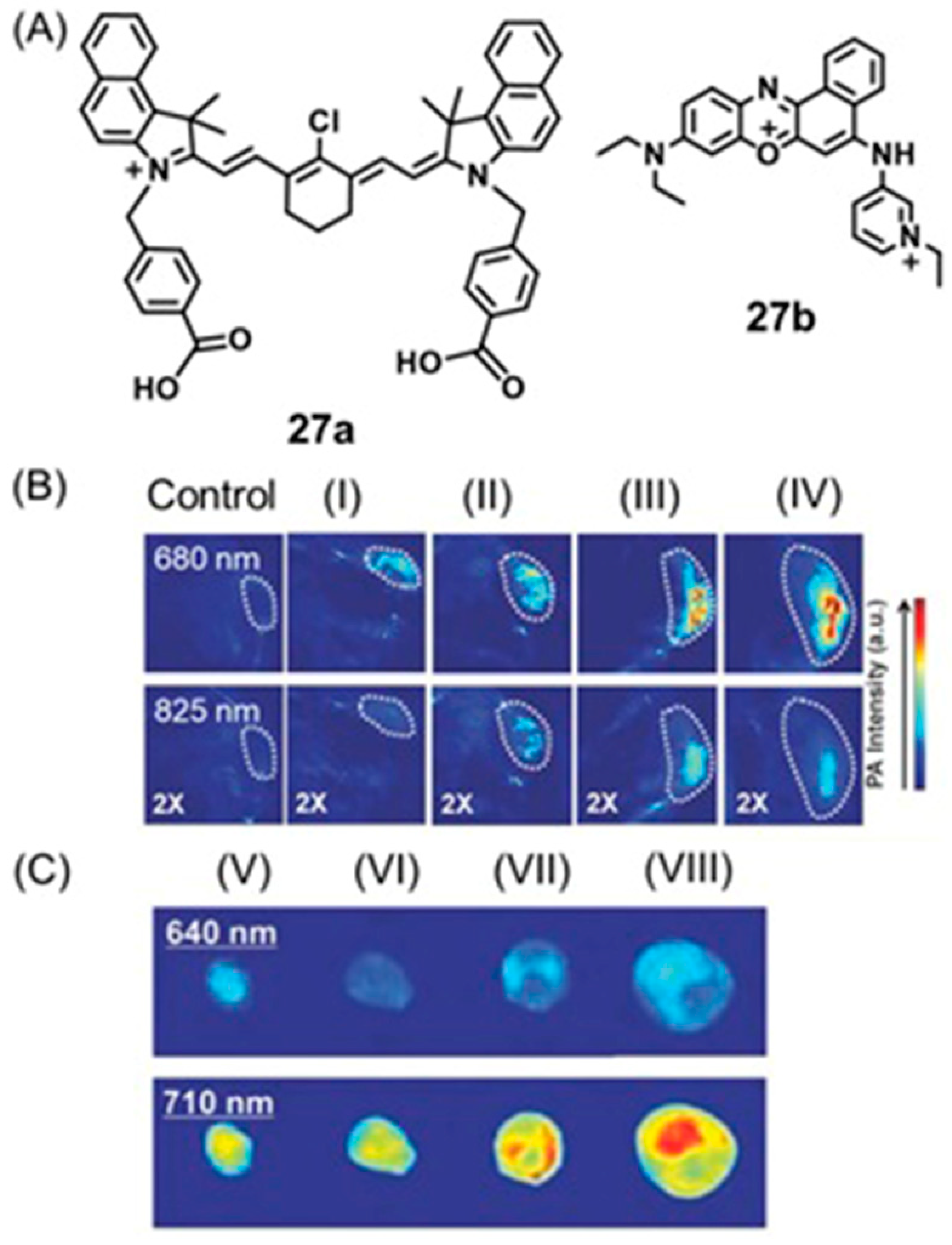 Biosensors 12 00478 g050