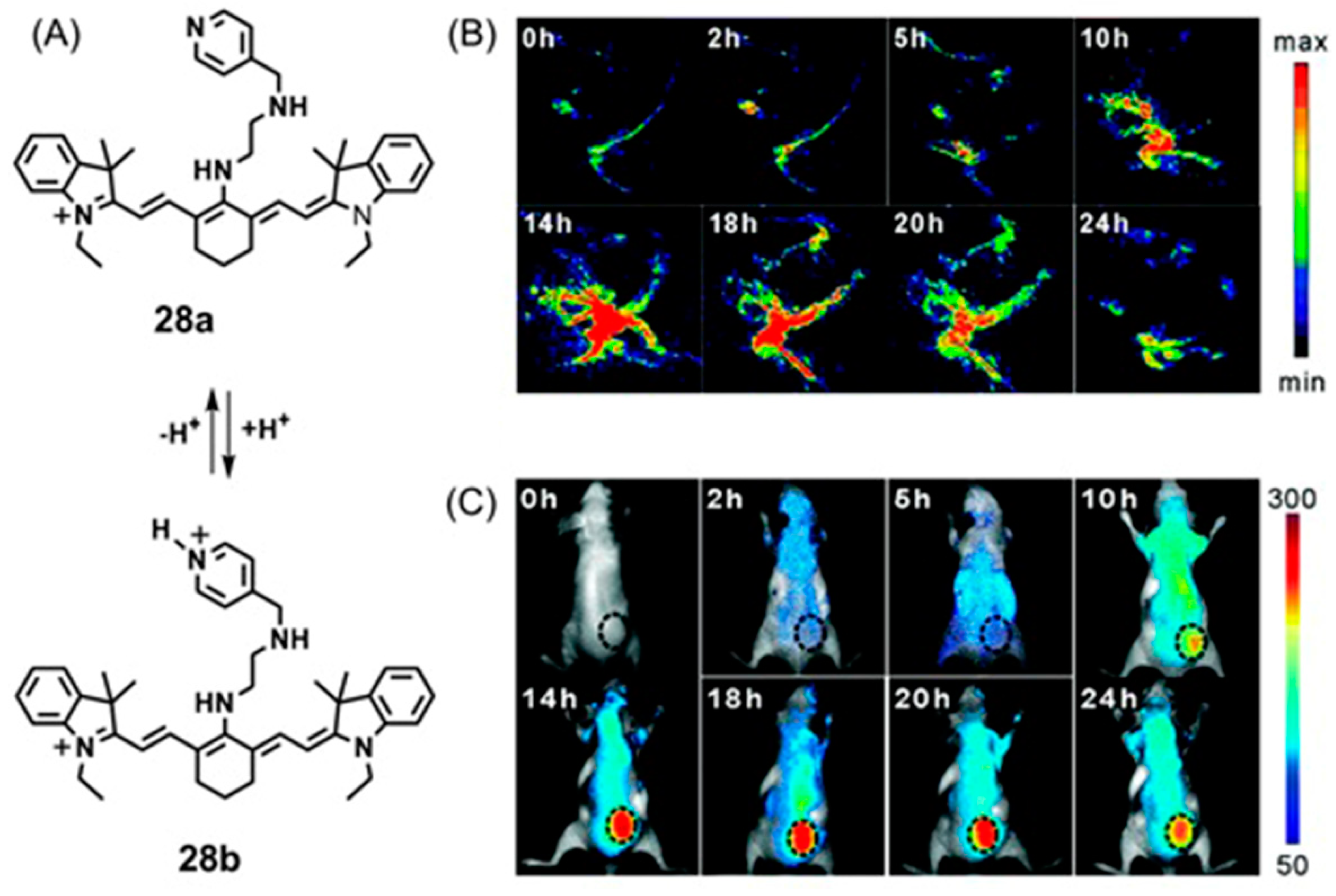Biosensors 12 00478 g051