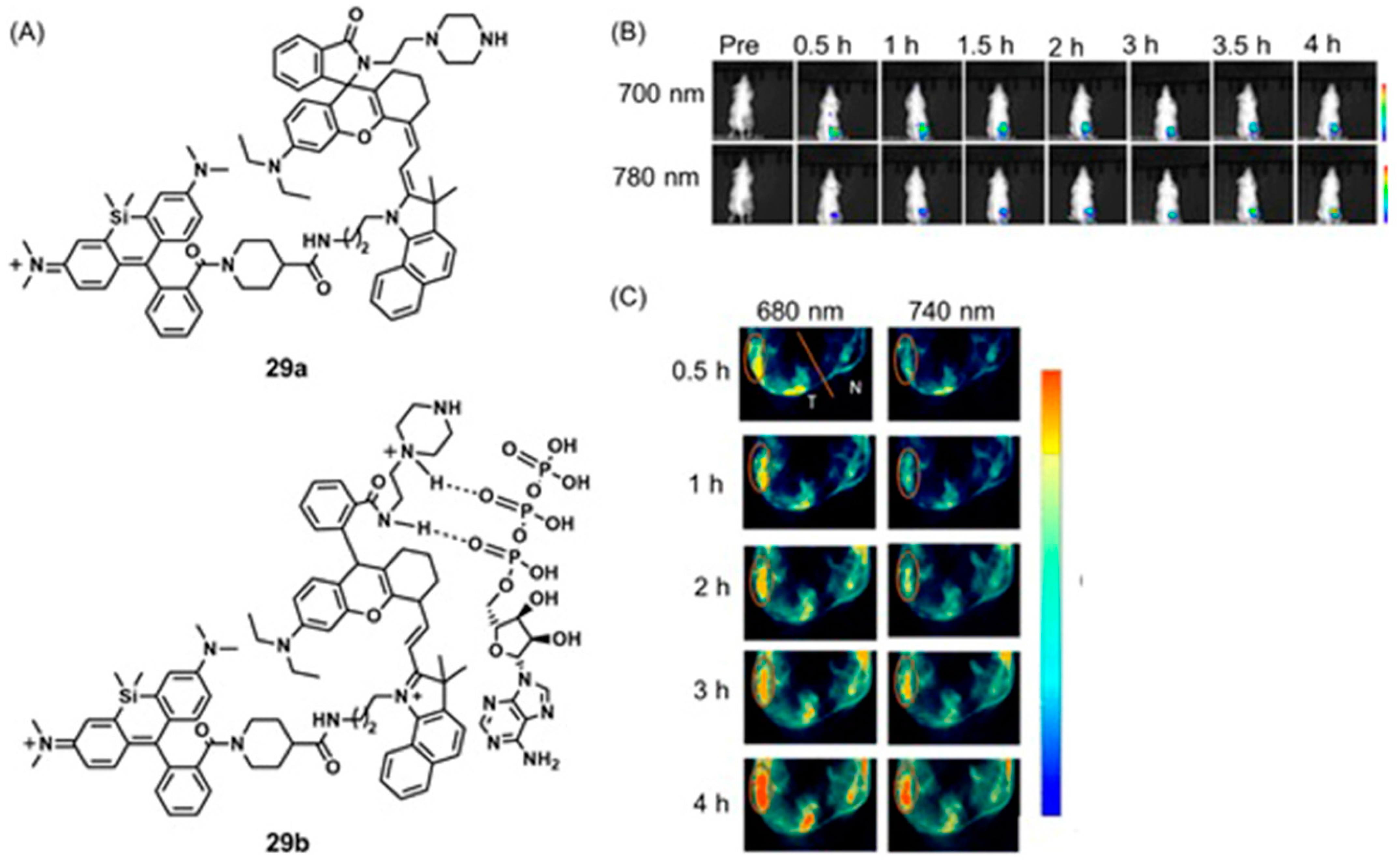 Biosensors 12 00478 g053