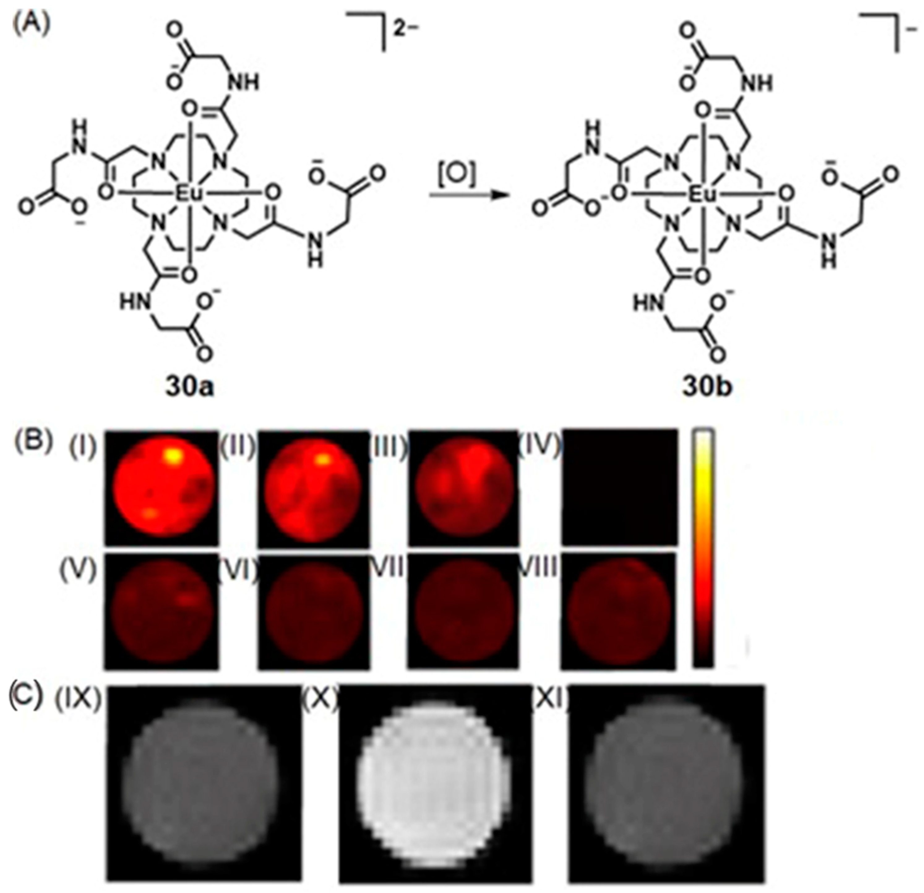 Biosensors 12 00478 g054