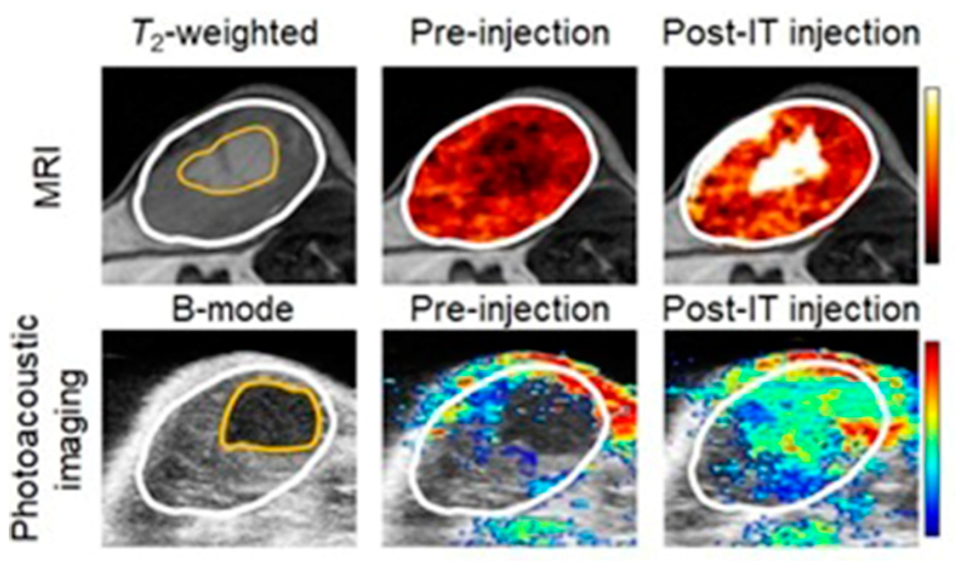 Biosensors 12 00478 g057