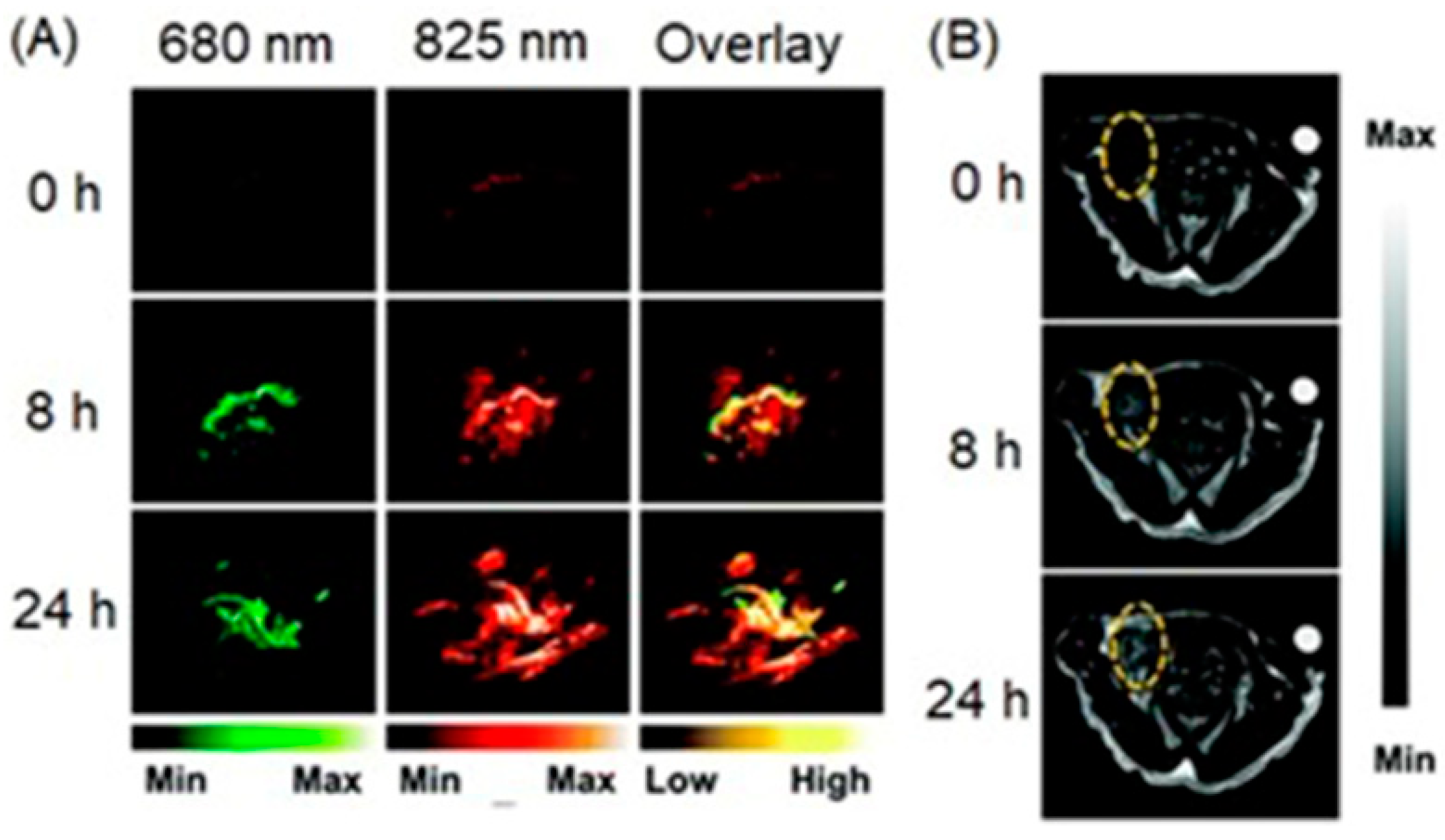 Biosensors 12 00478 g058