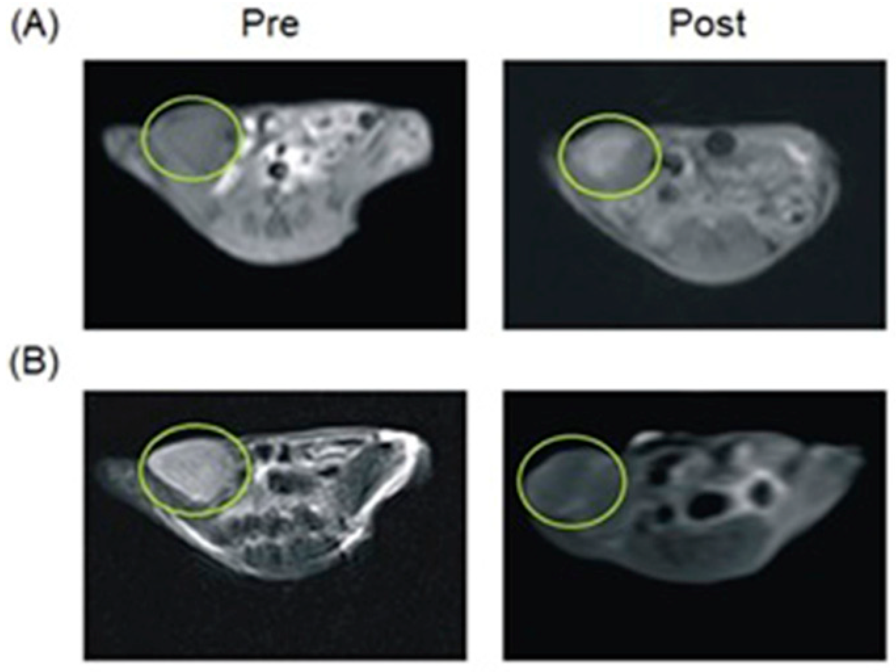 Biosensors 12 00478 g060