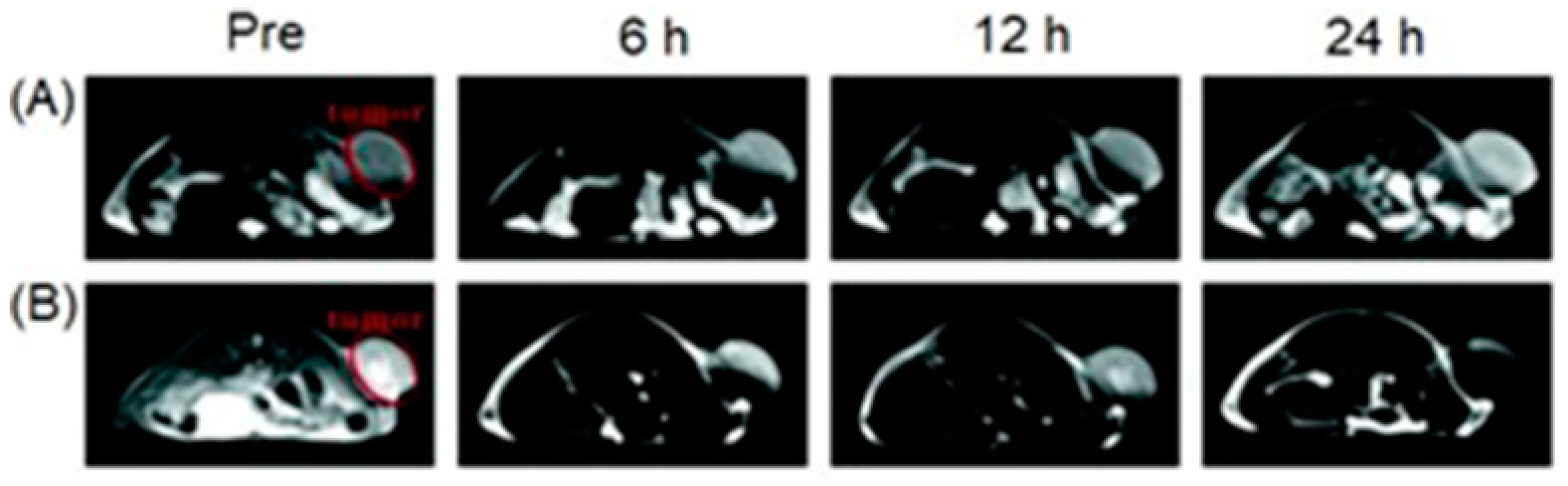 Biosensors 12 00478 g061