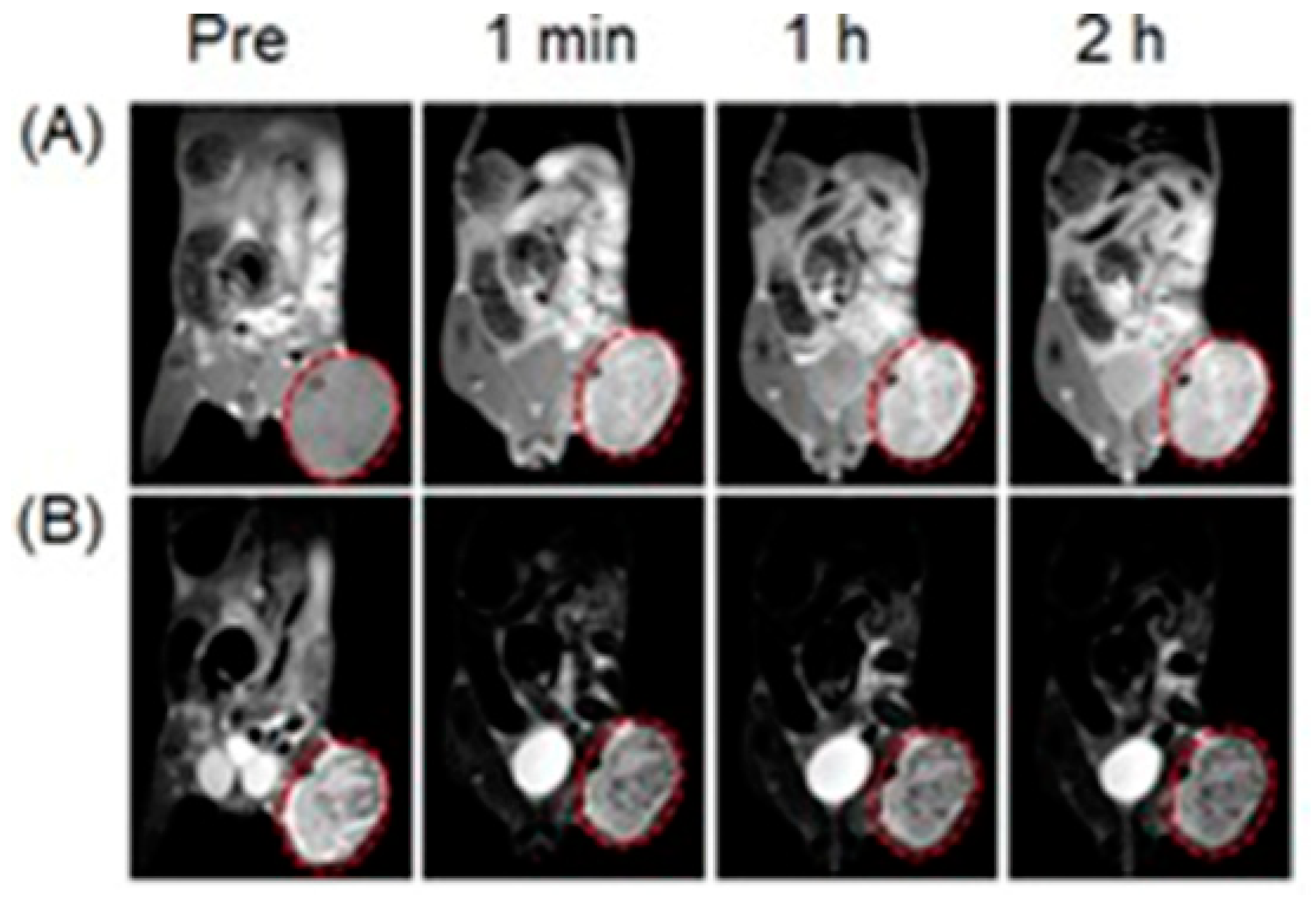 Biosensors 12 00478 g062