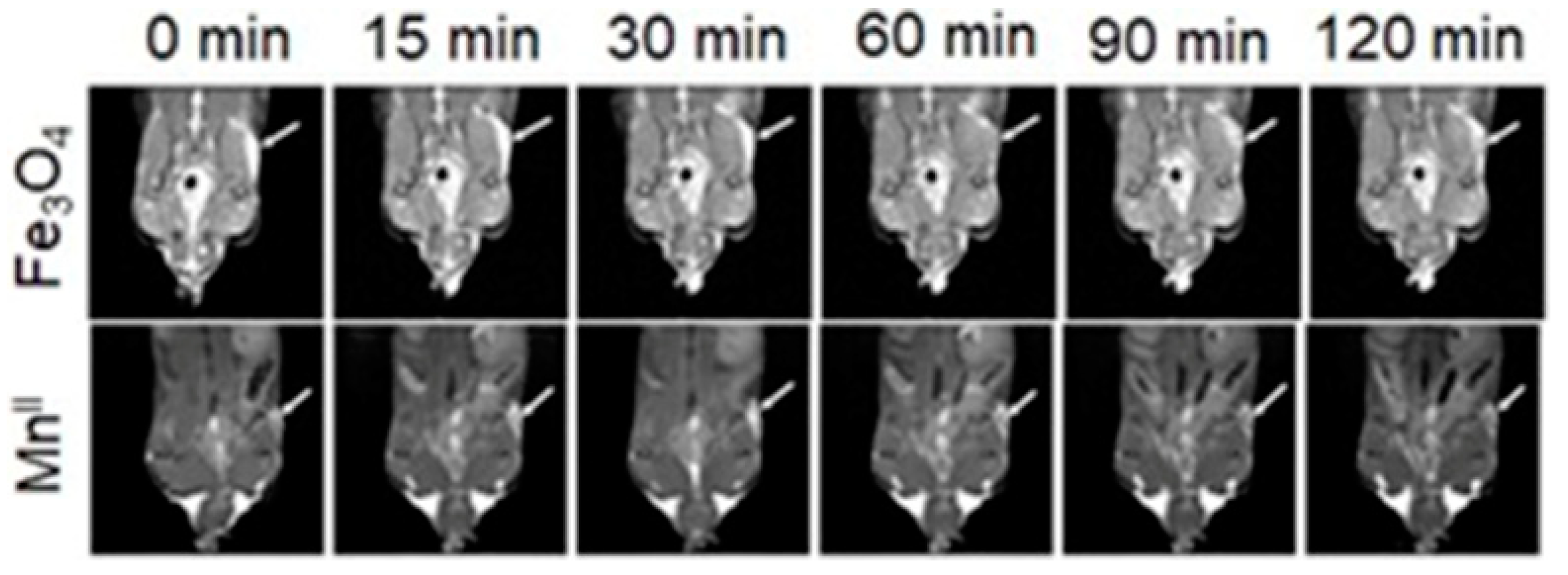 Biosensors 12 00478 g063