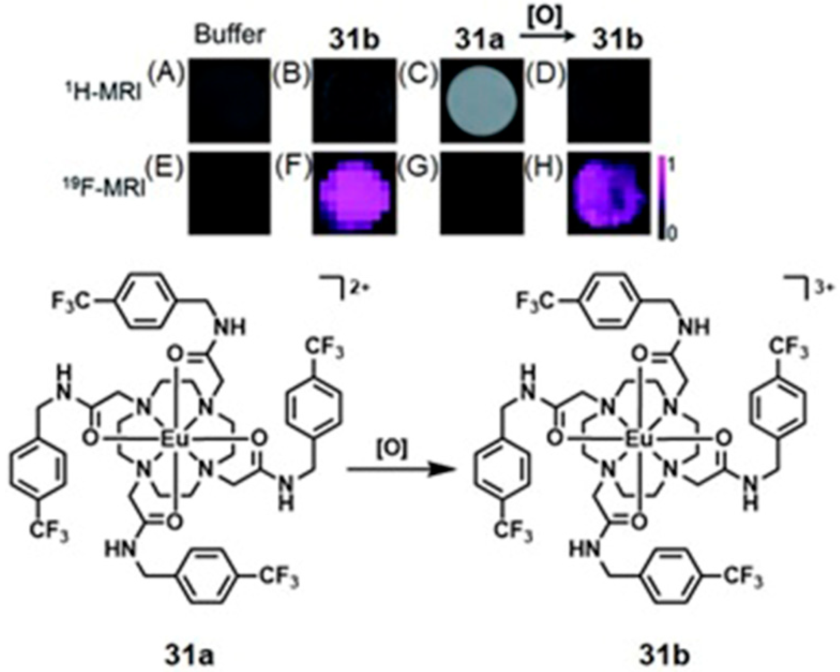 Biosensors 12 00478 g065