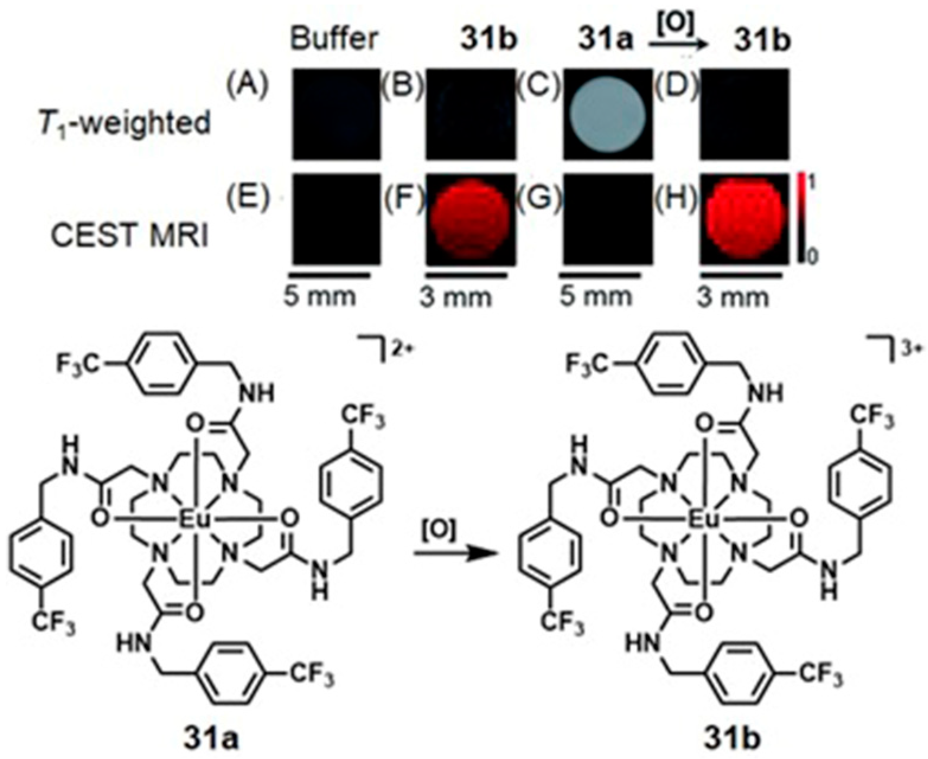 Biosensors 12 00478 g069