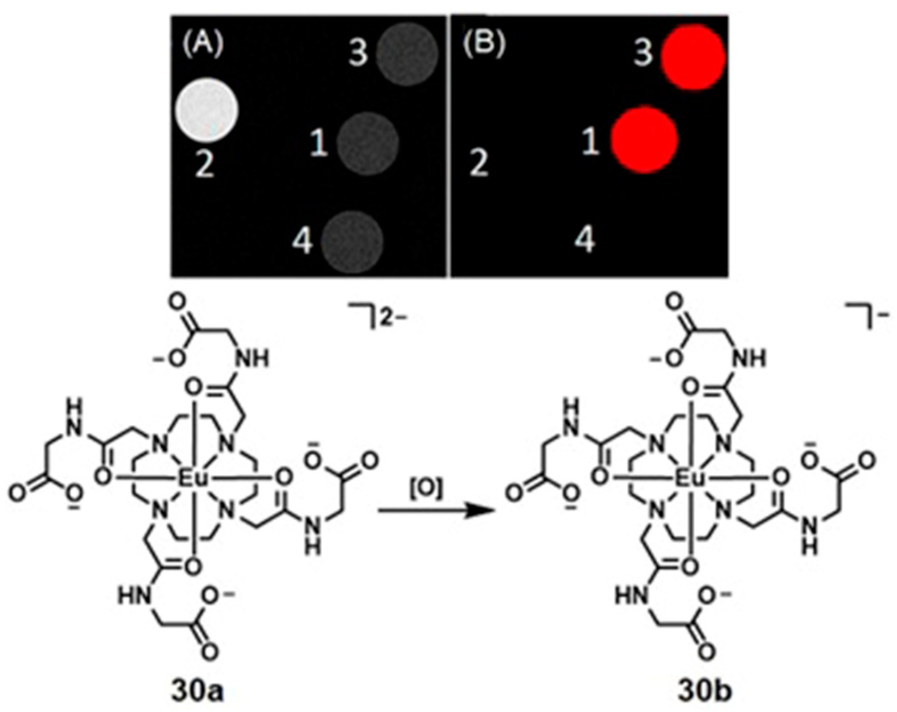 Biosensors 12 00478 g070