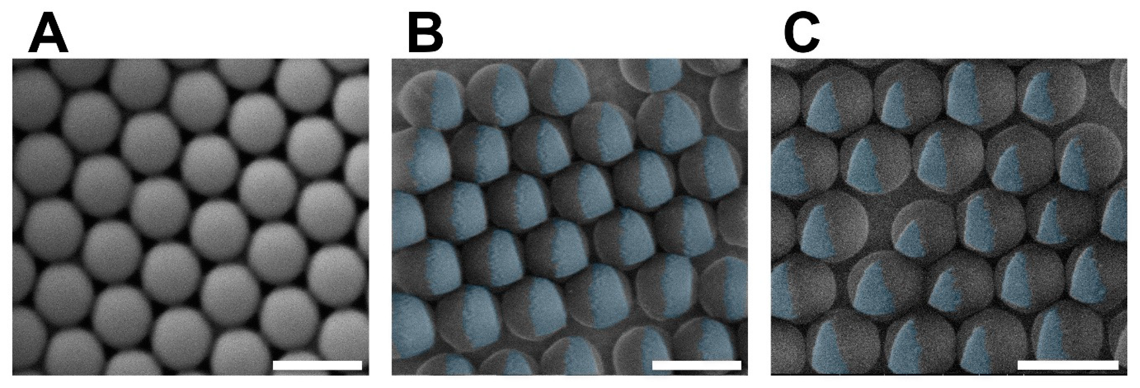 Biosensors 12 00480 g001