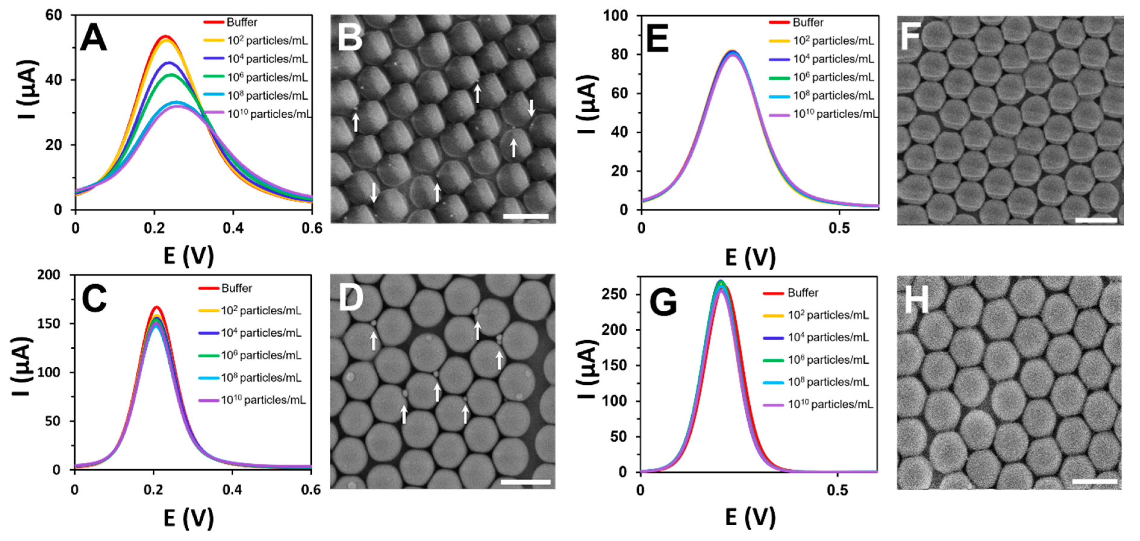 Biosensors 12 00480 g003