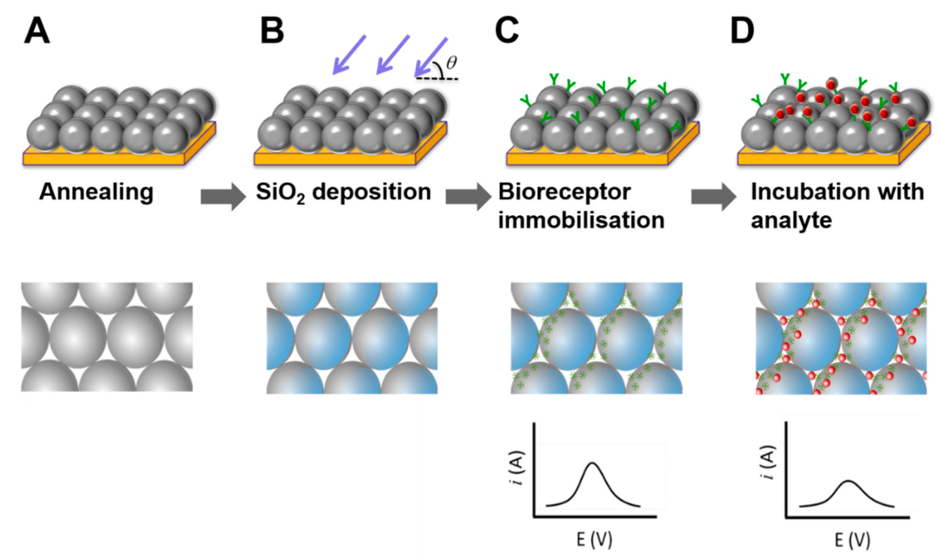 Biosensors 12 00480 sch001