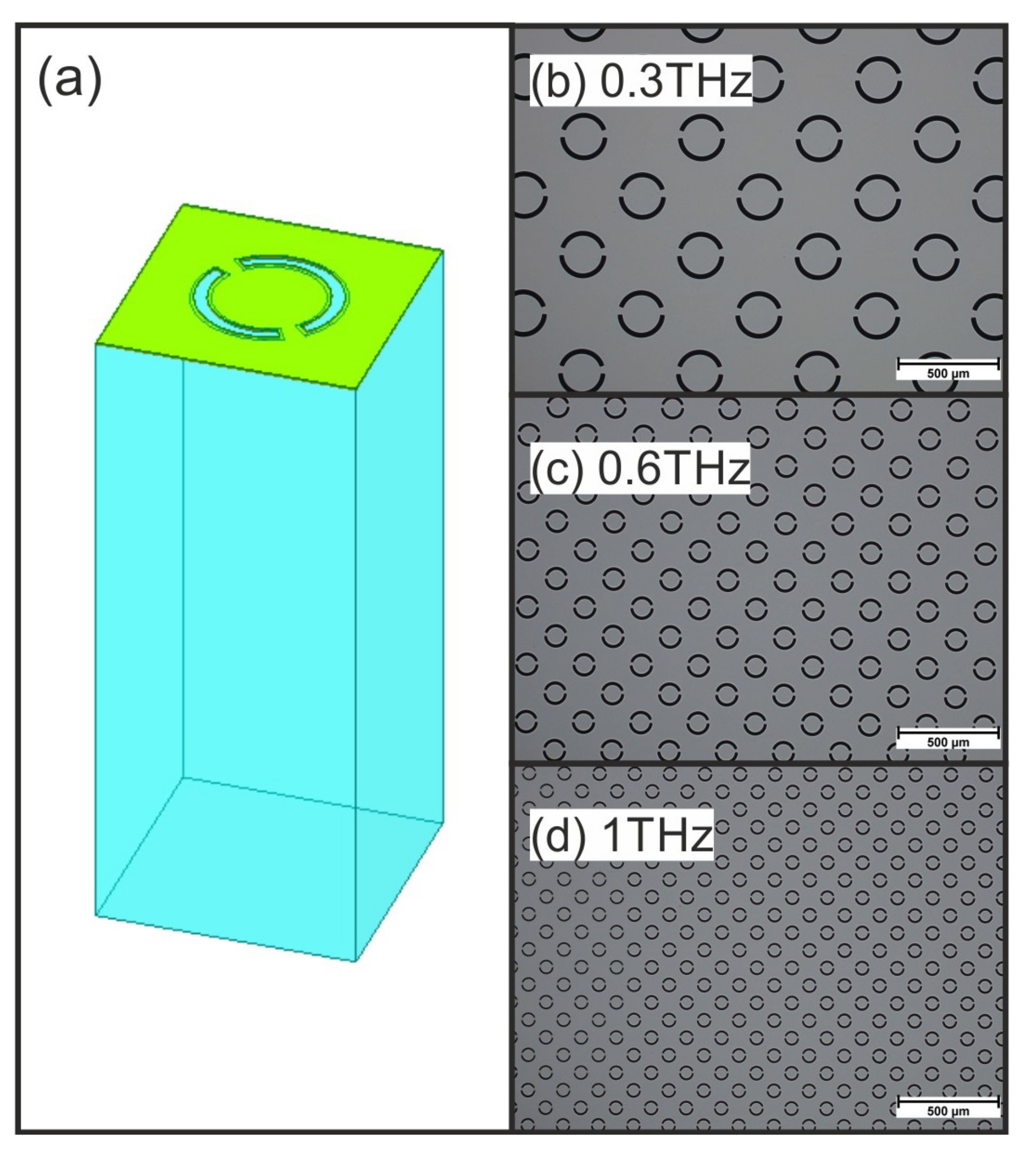 Biosensors 12 00483 g001