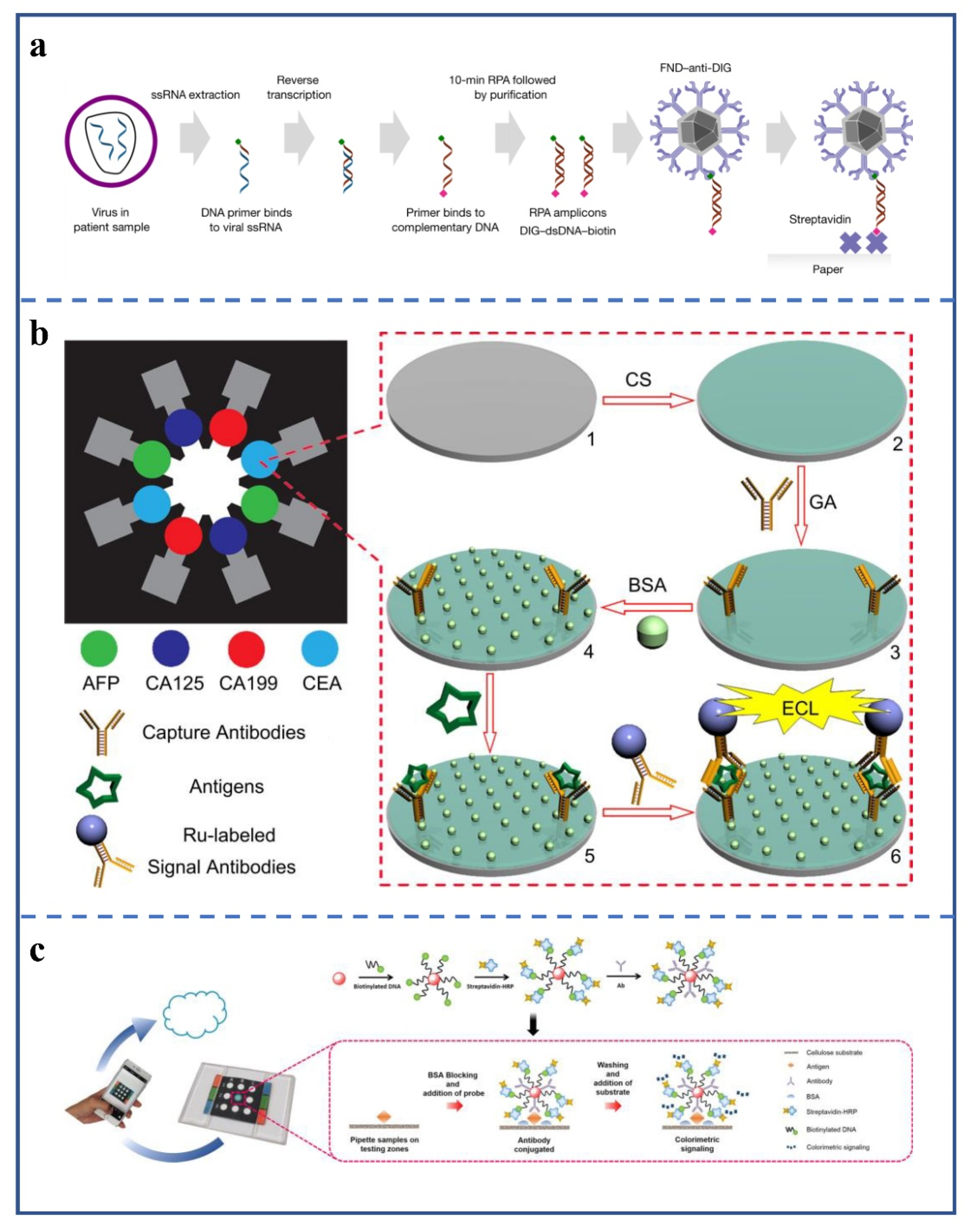 Biosensors 12 00485 g007