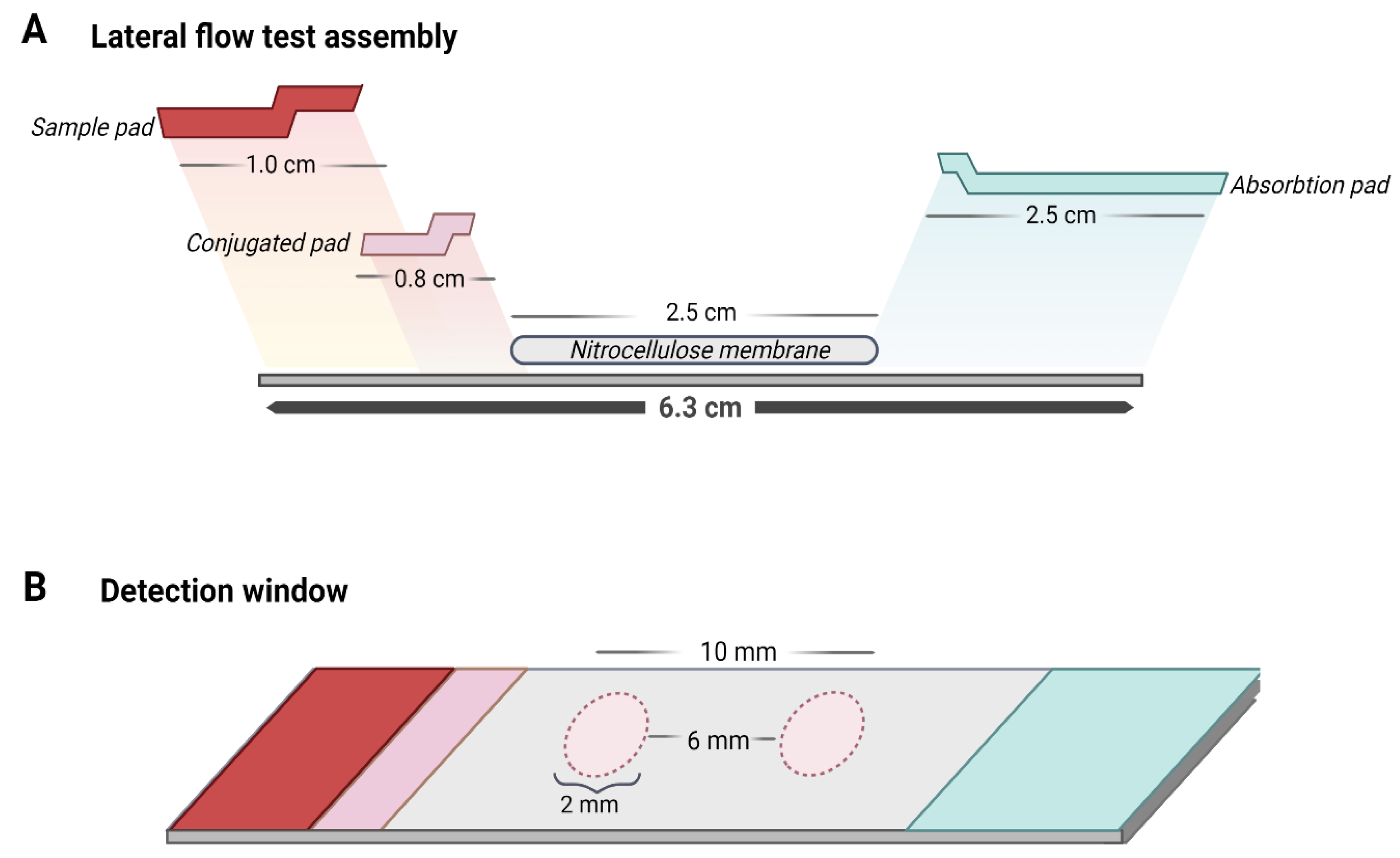 Biosensors 12 00495 g008 550