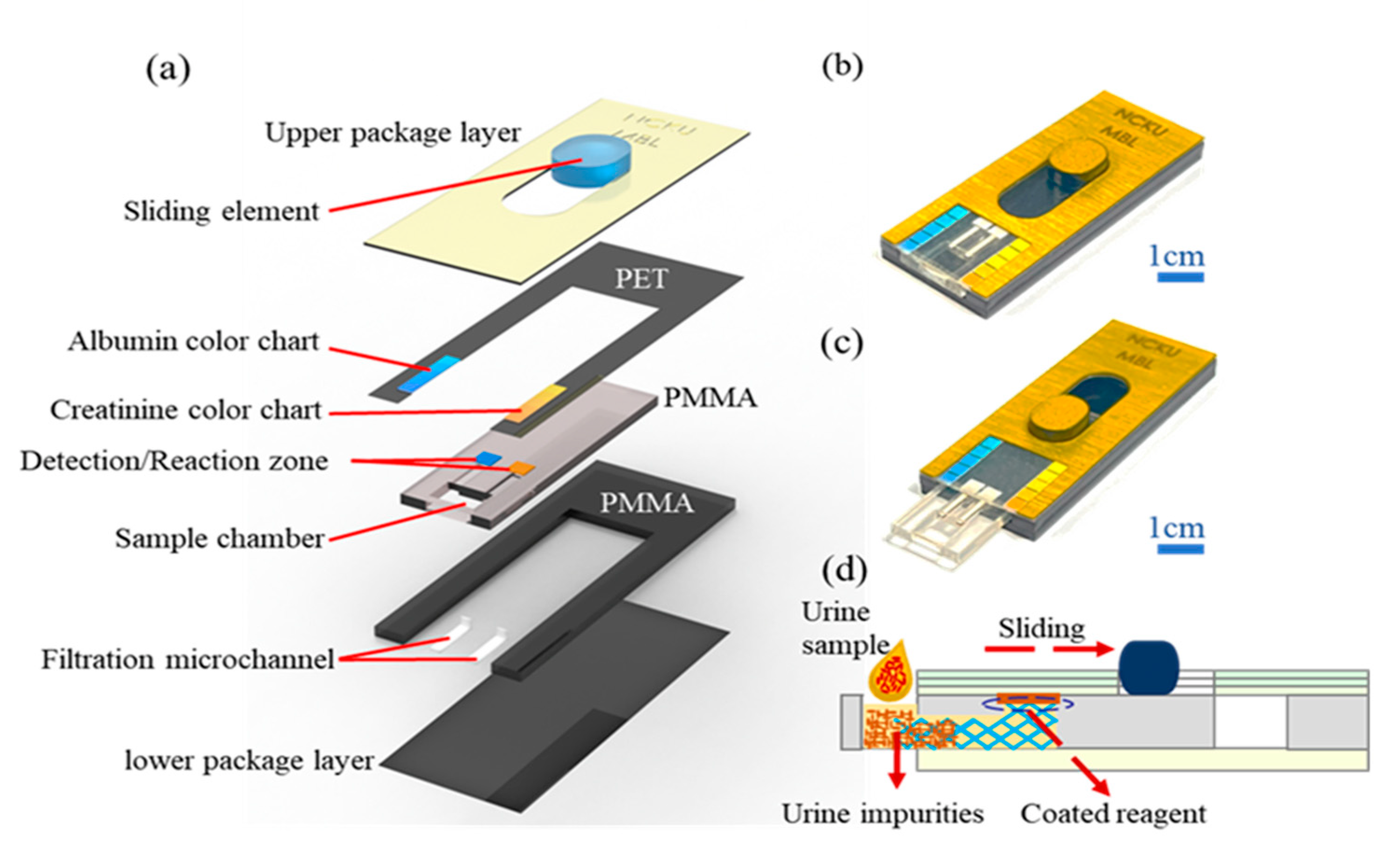 Inspection of visible components in urine based on deep learning