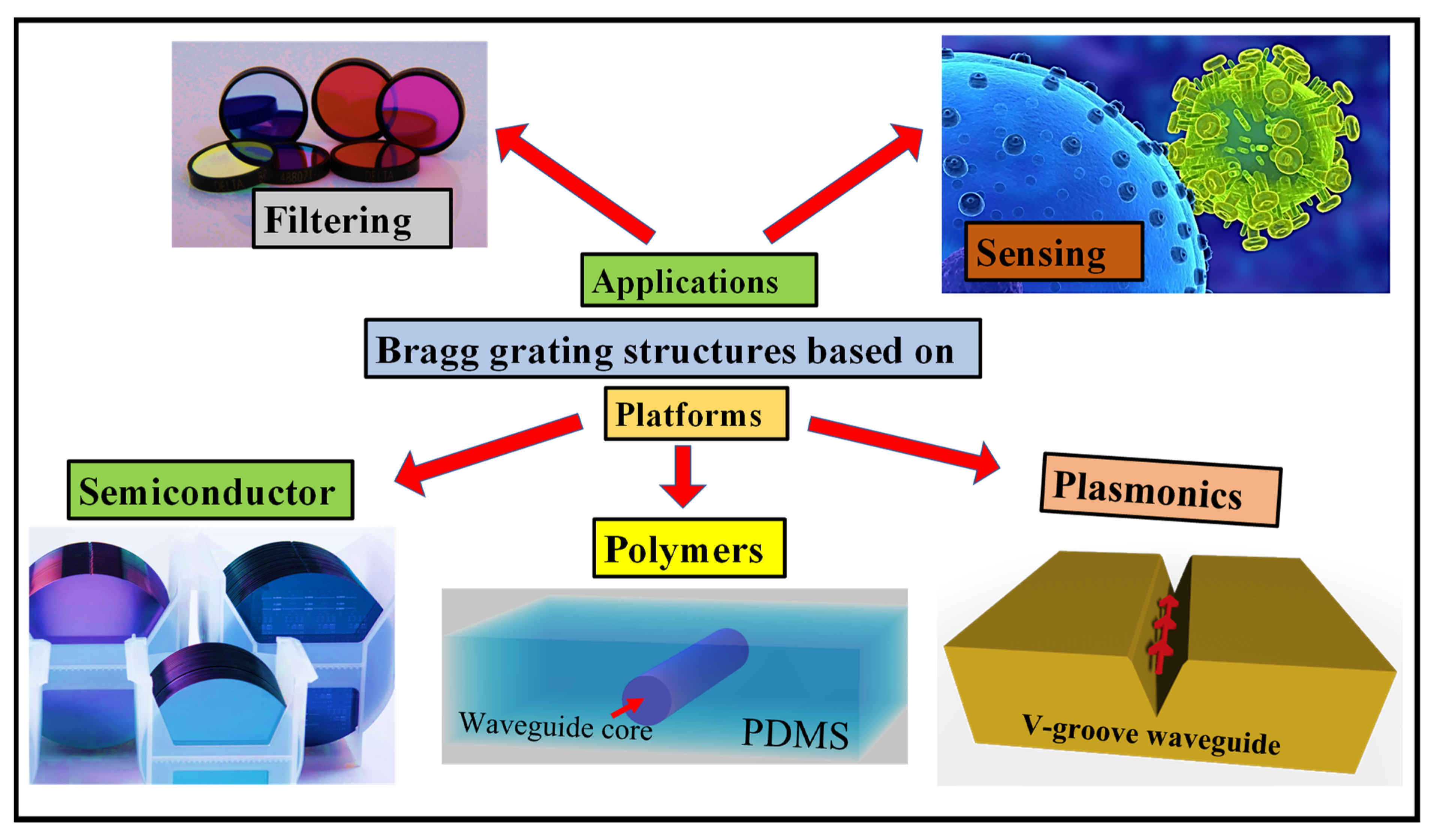 Biosensors 12 00497 g001