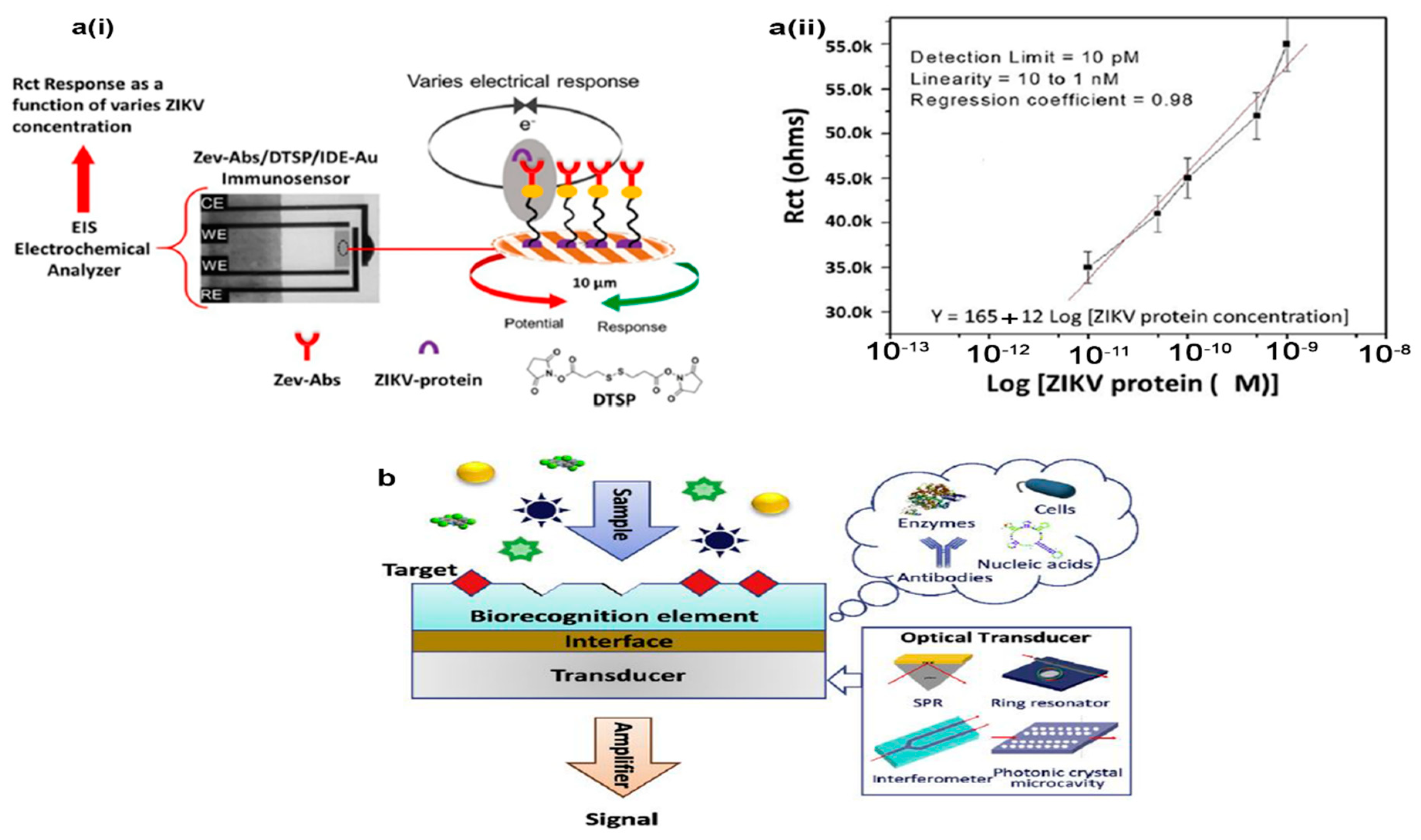 Biosensors 12 00499 g002