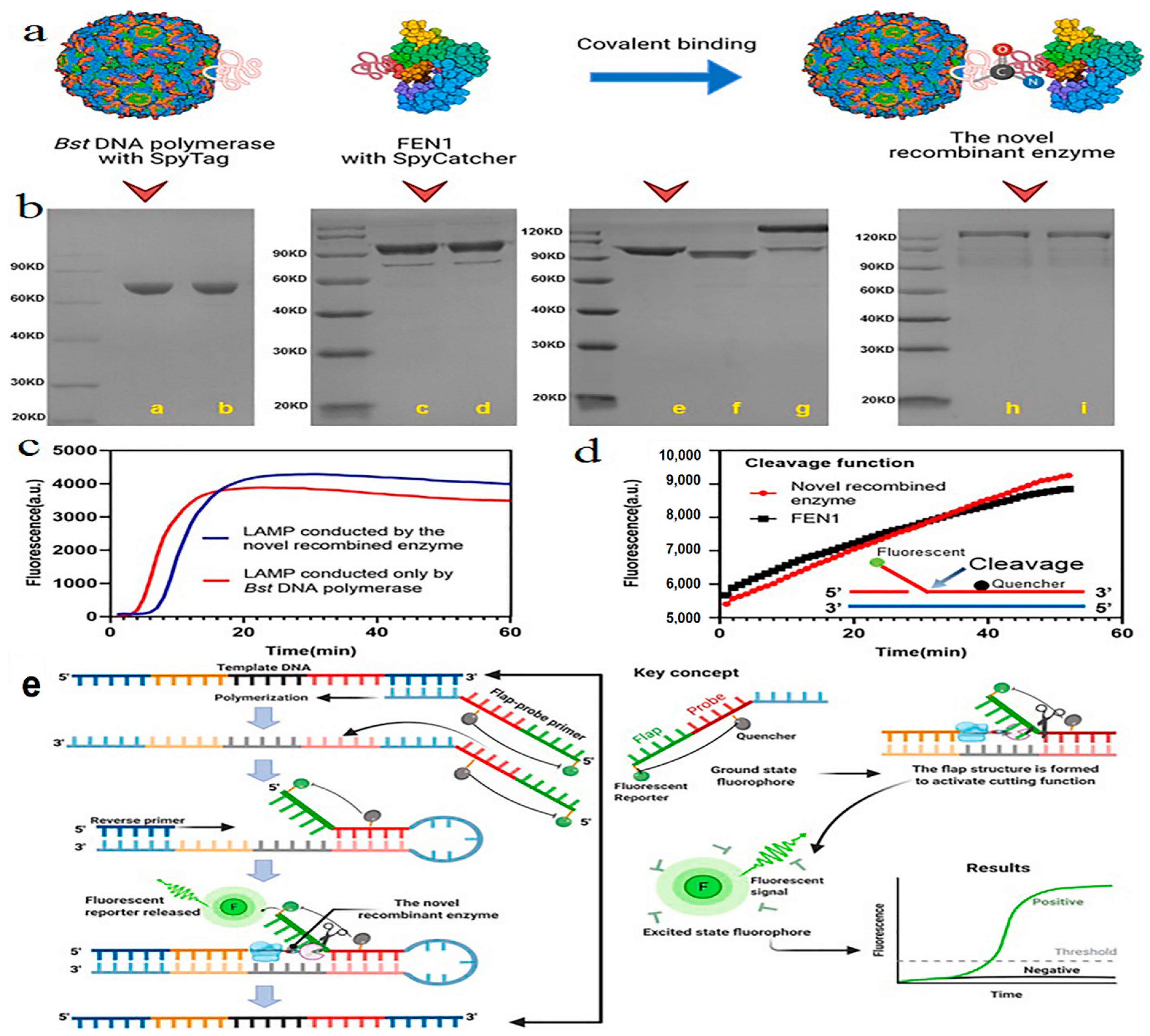 Biosensors 12 00499 g003